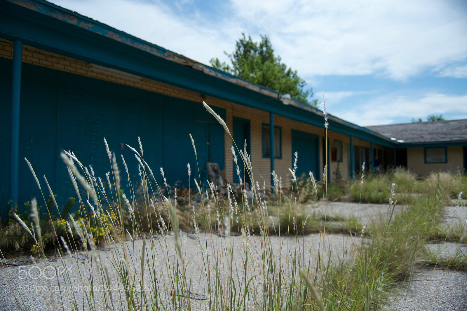 Nikon D3100 sample photo. Abandoned building photography