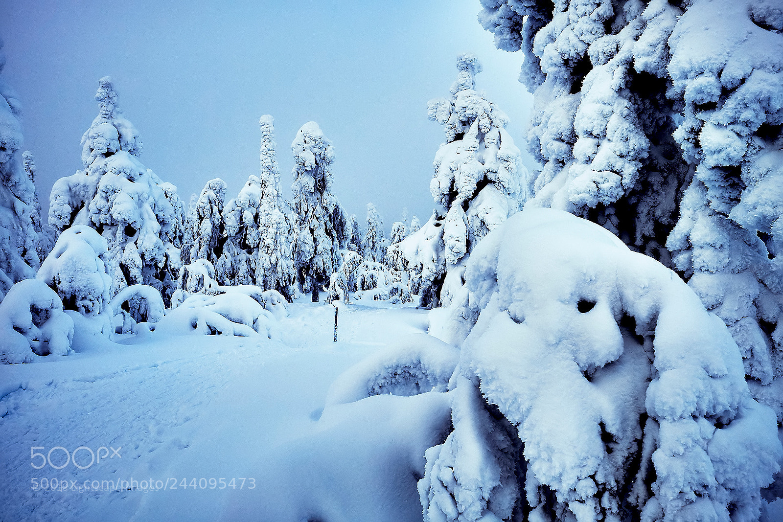 Fujifilm X-T1 sample photo. Winter magic photography