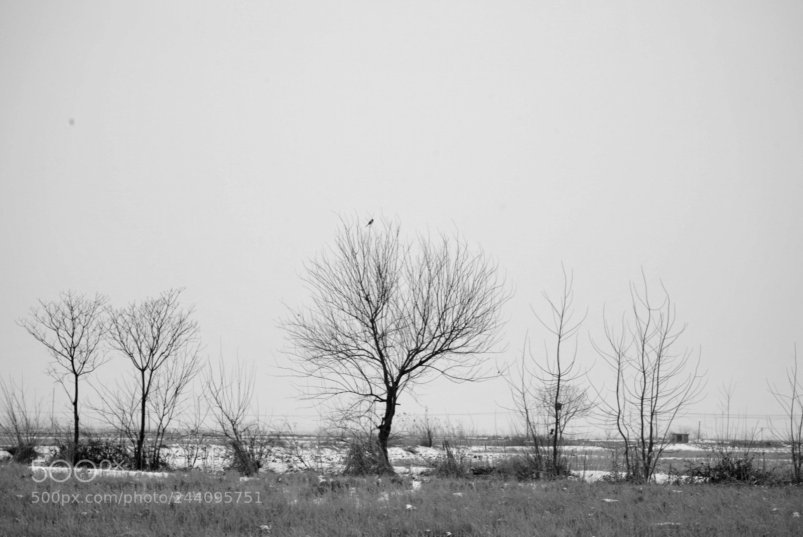 Sony a7 II sample photo. Untitled photography