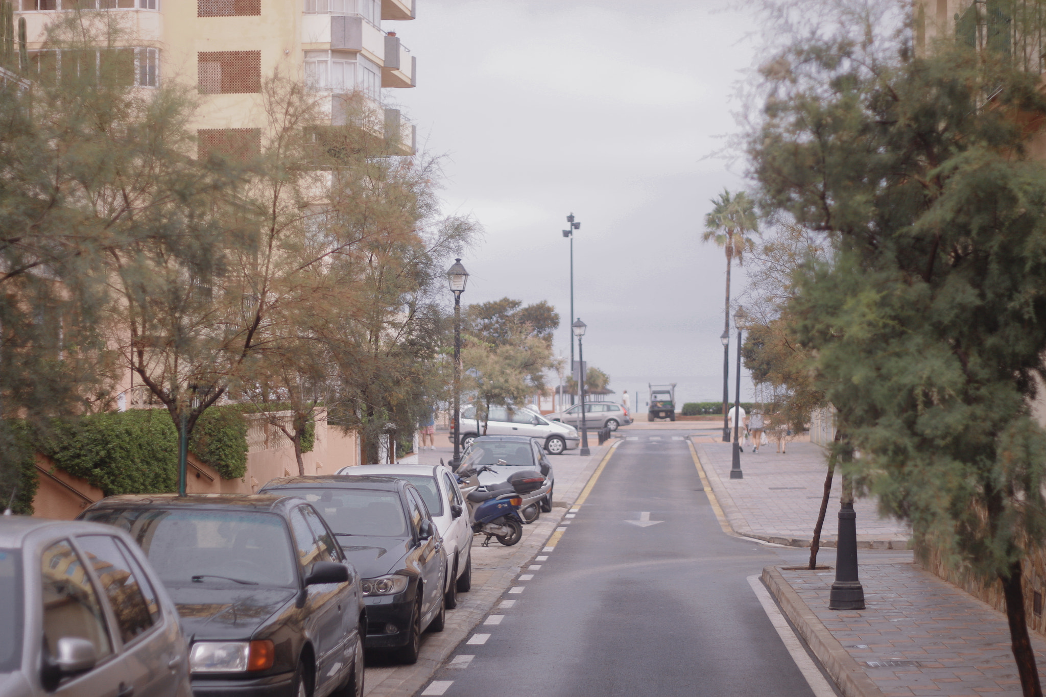 Canon EOS 500D (EOS Rebel T1i / EOS Kiss X3) + Canon EF 50mm f/1.8 sample photo. Spain 2015 photography