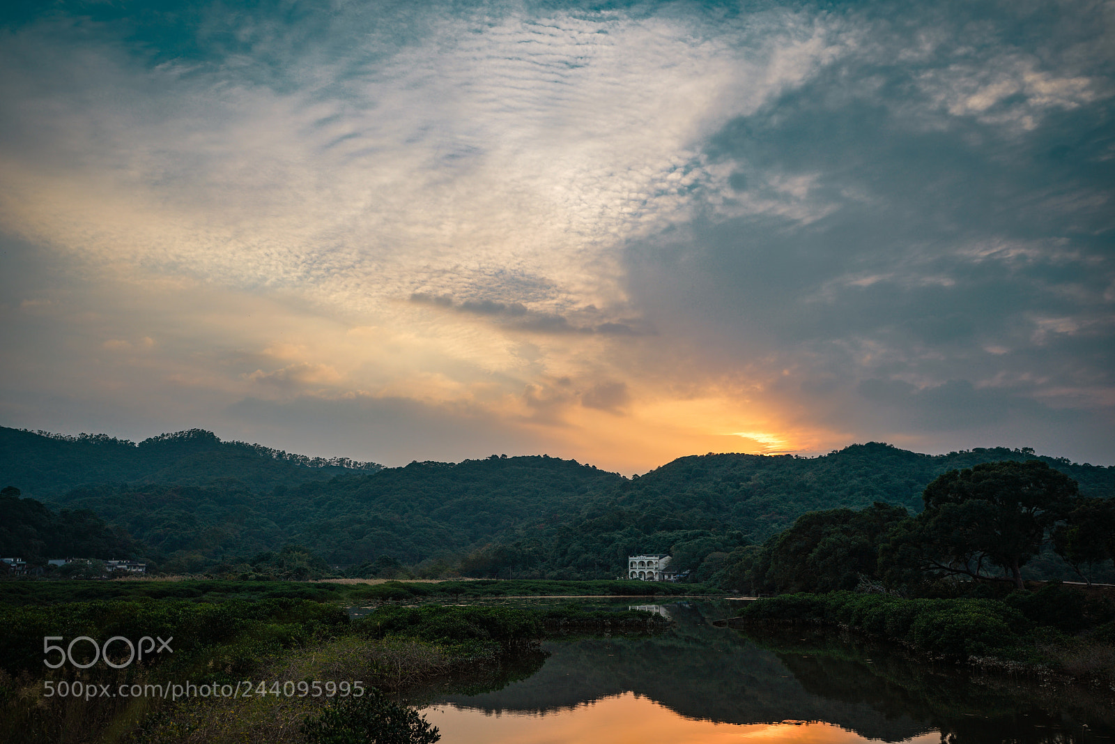 Sony a7R III sample photo. Untitled photography