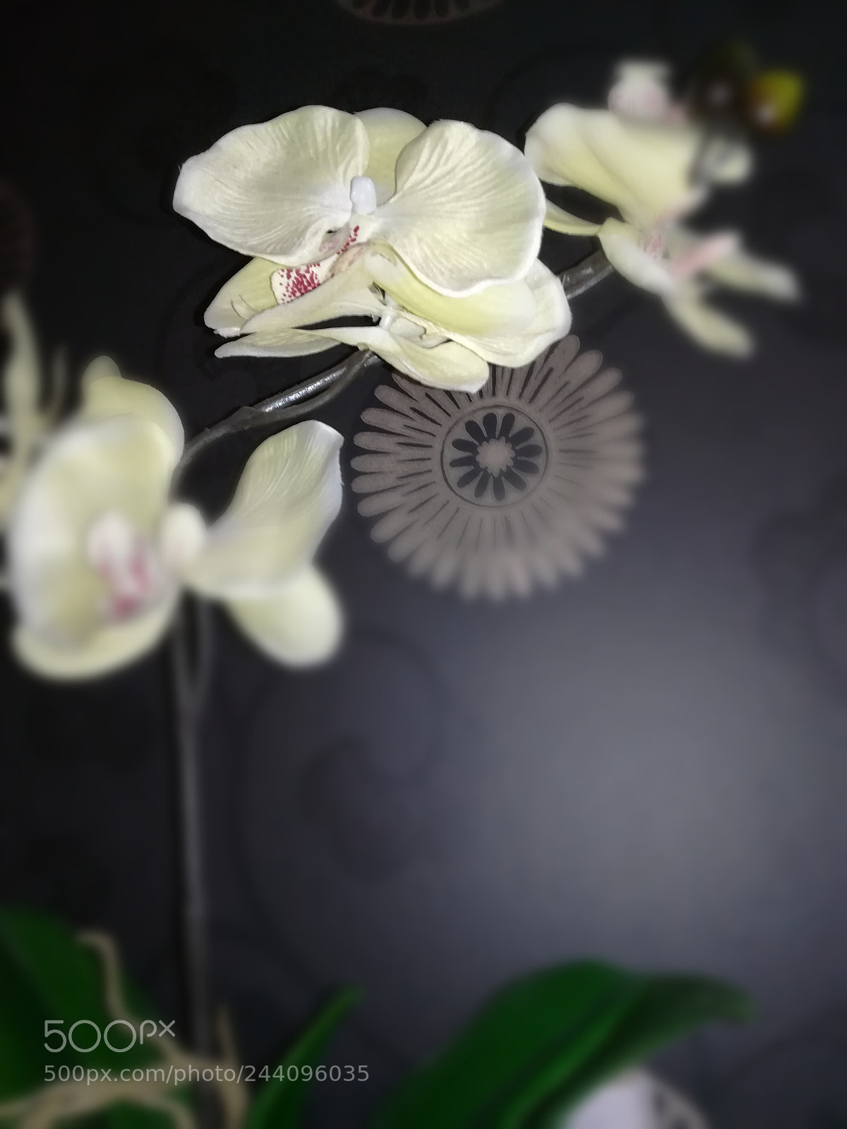 HUAWEI PRA-LX1 sample photo. Untitled photography