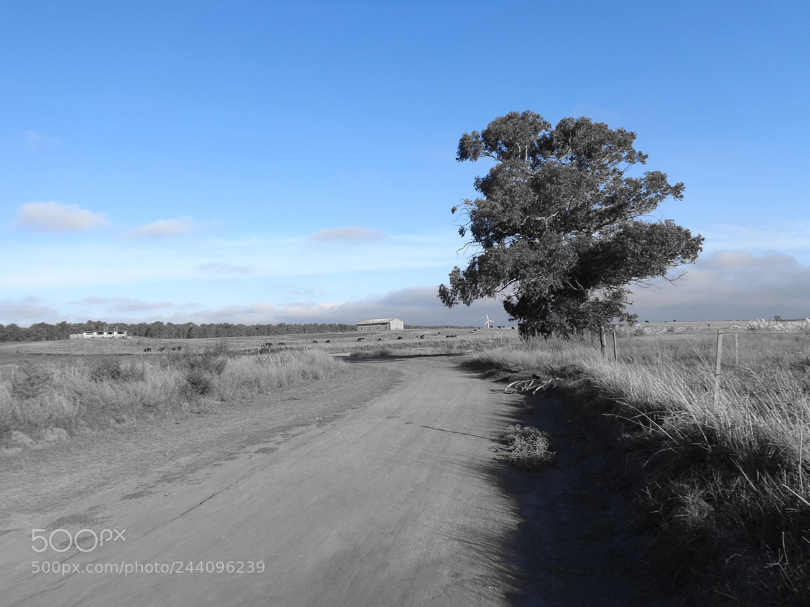 Sony Cyber-shot DSC-W730 sample photo. Llanura photography