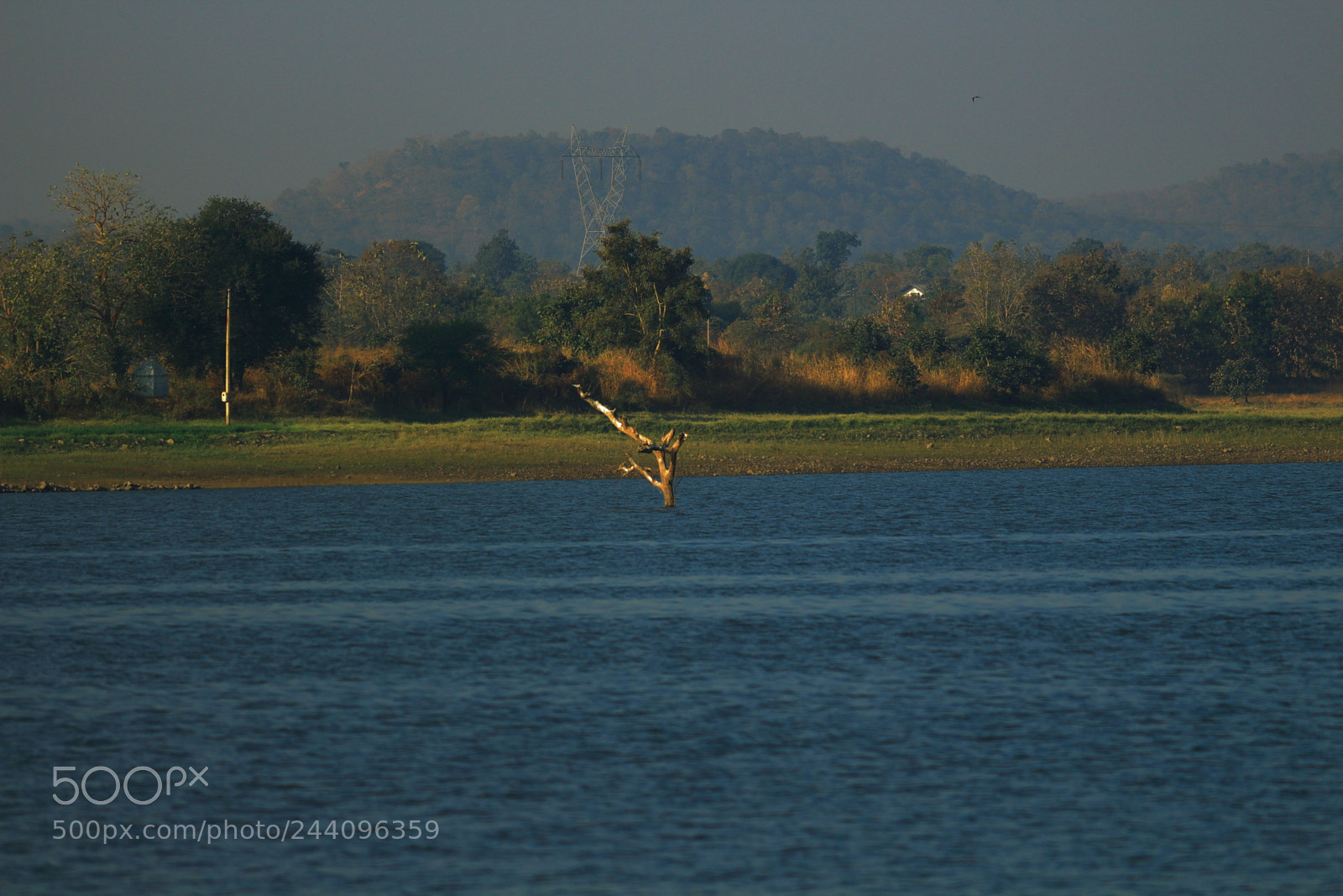 Canon EF-S 55-250mm F4-5.6 IS II sample photo. Img photography
