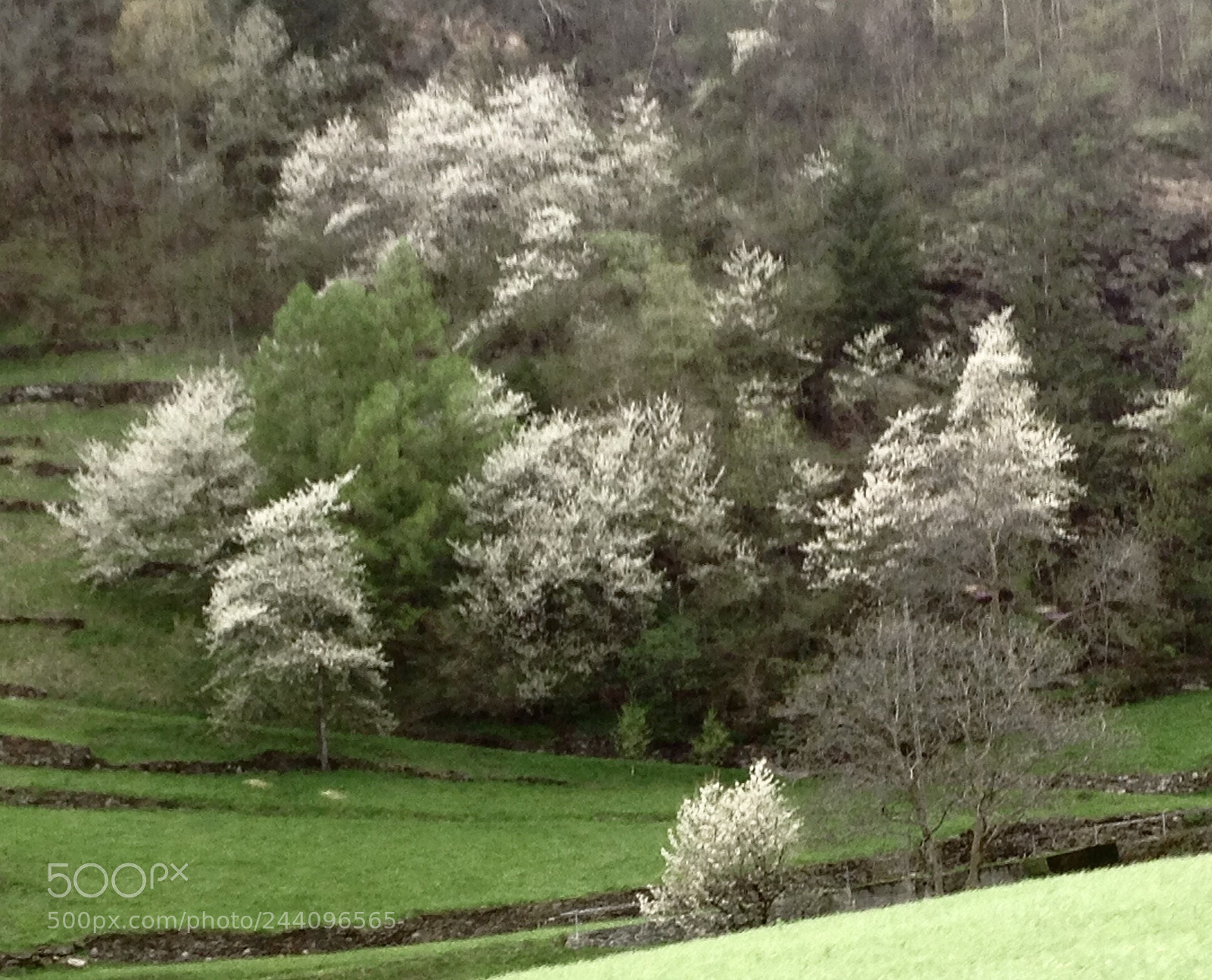 Apple iPad sample photo. From the train... photography