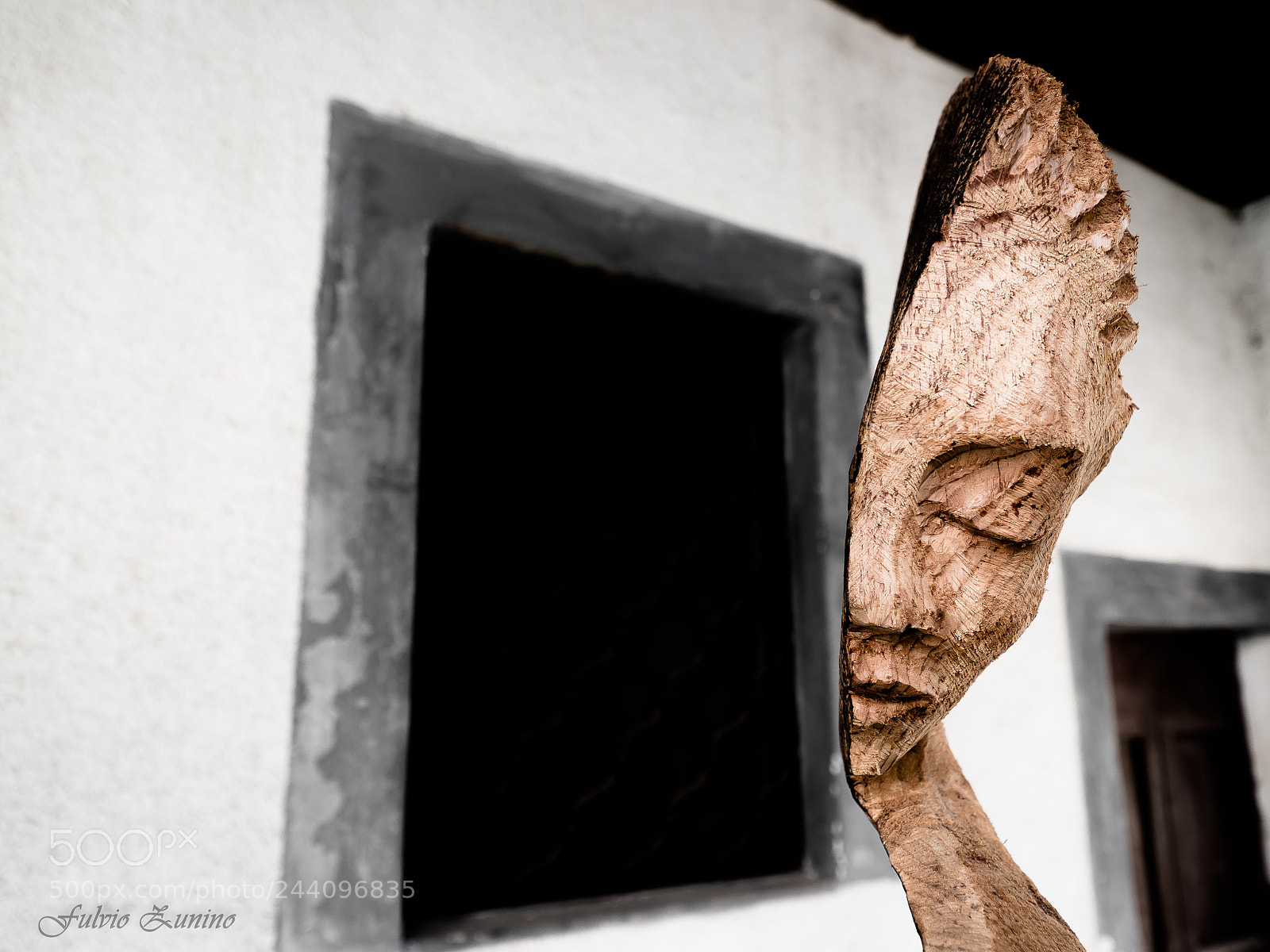 Olympus OM-D E-M1 Mark II sample photo. Instinct photography