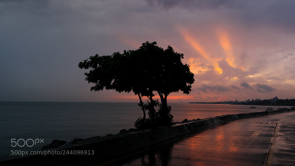 Samsung NX1 sample photo. ... photography