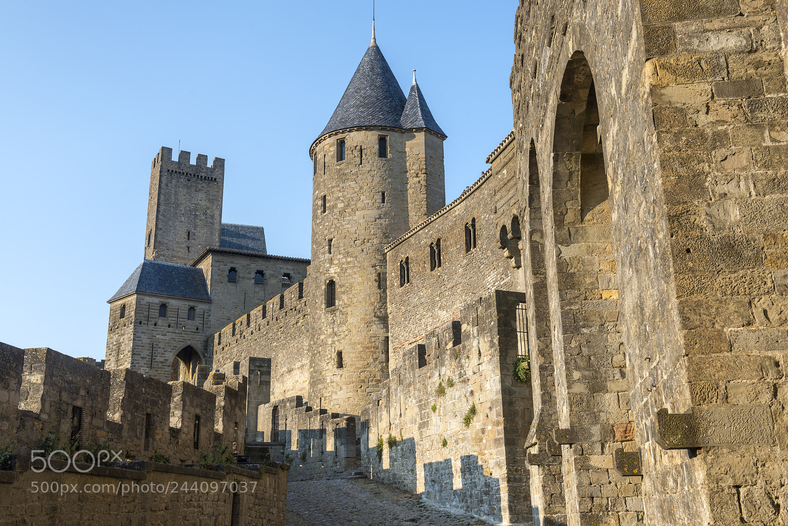 Nikon D800 sample photo. Carcassonne (france) photography