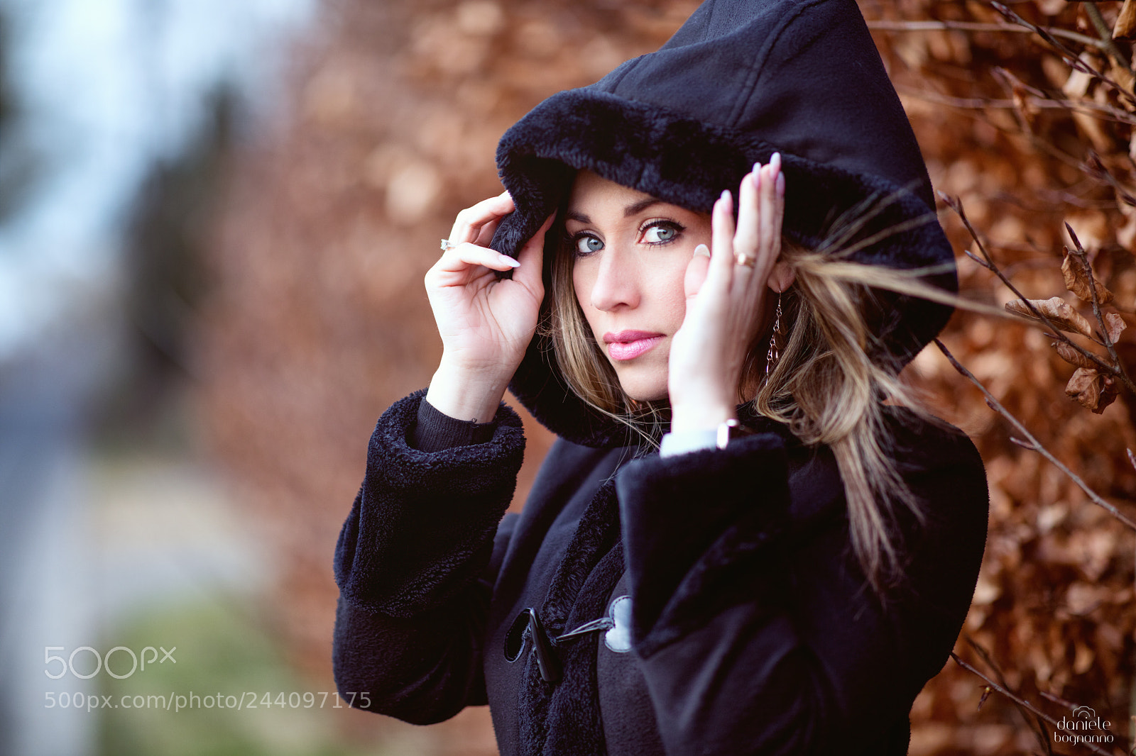 Canon EOS 5DS sample photo. Winter light photography