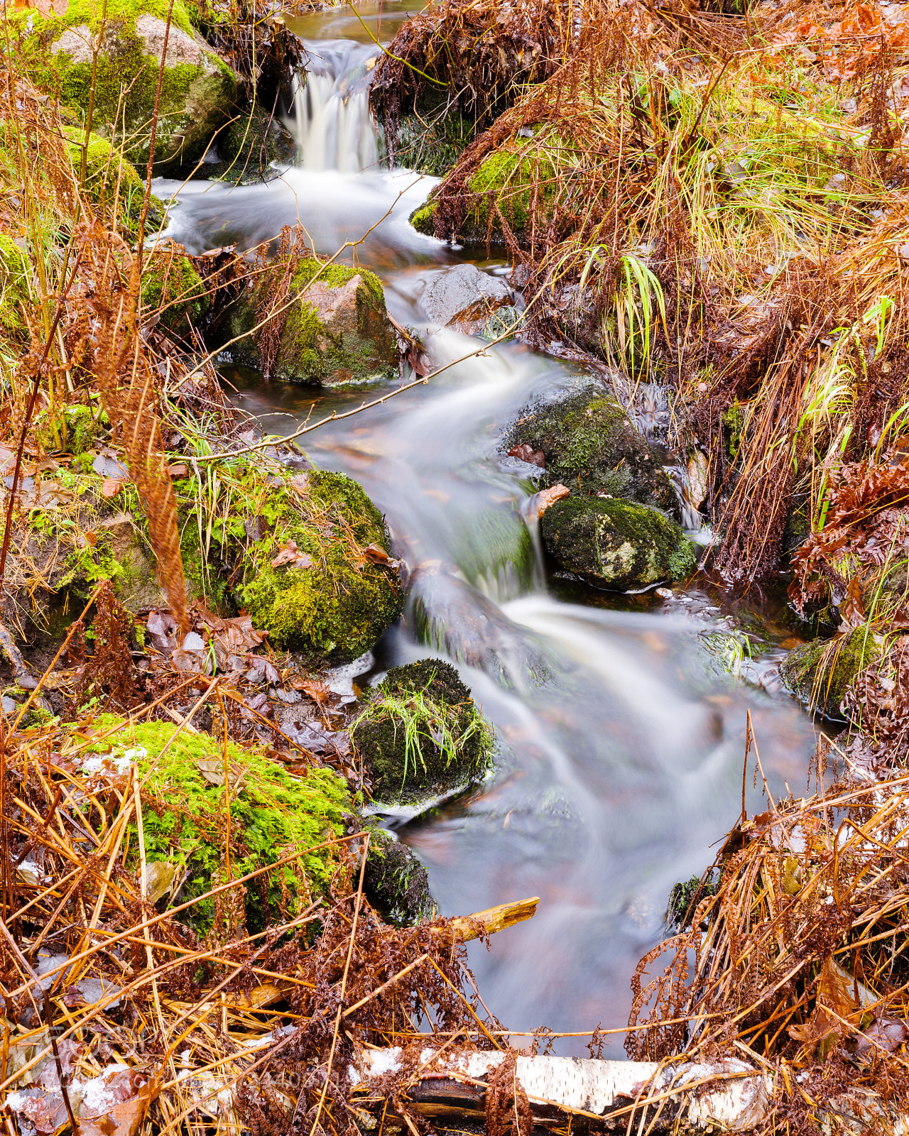 Pentax K-1 sample photo. Stream photography