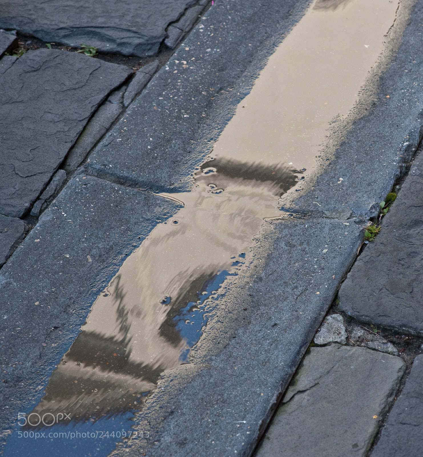 Nikon D3 sample photo. Jtl photography
