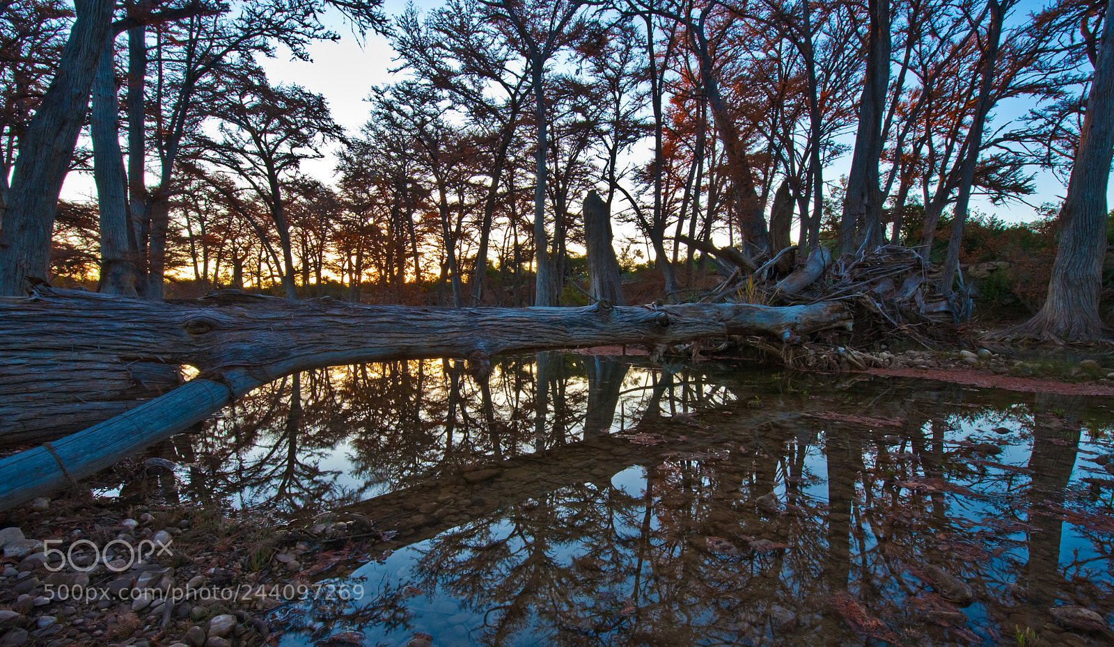 Nikon D3 sample photo. Jtl photography