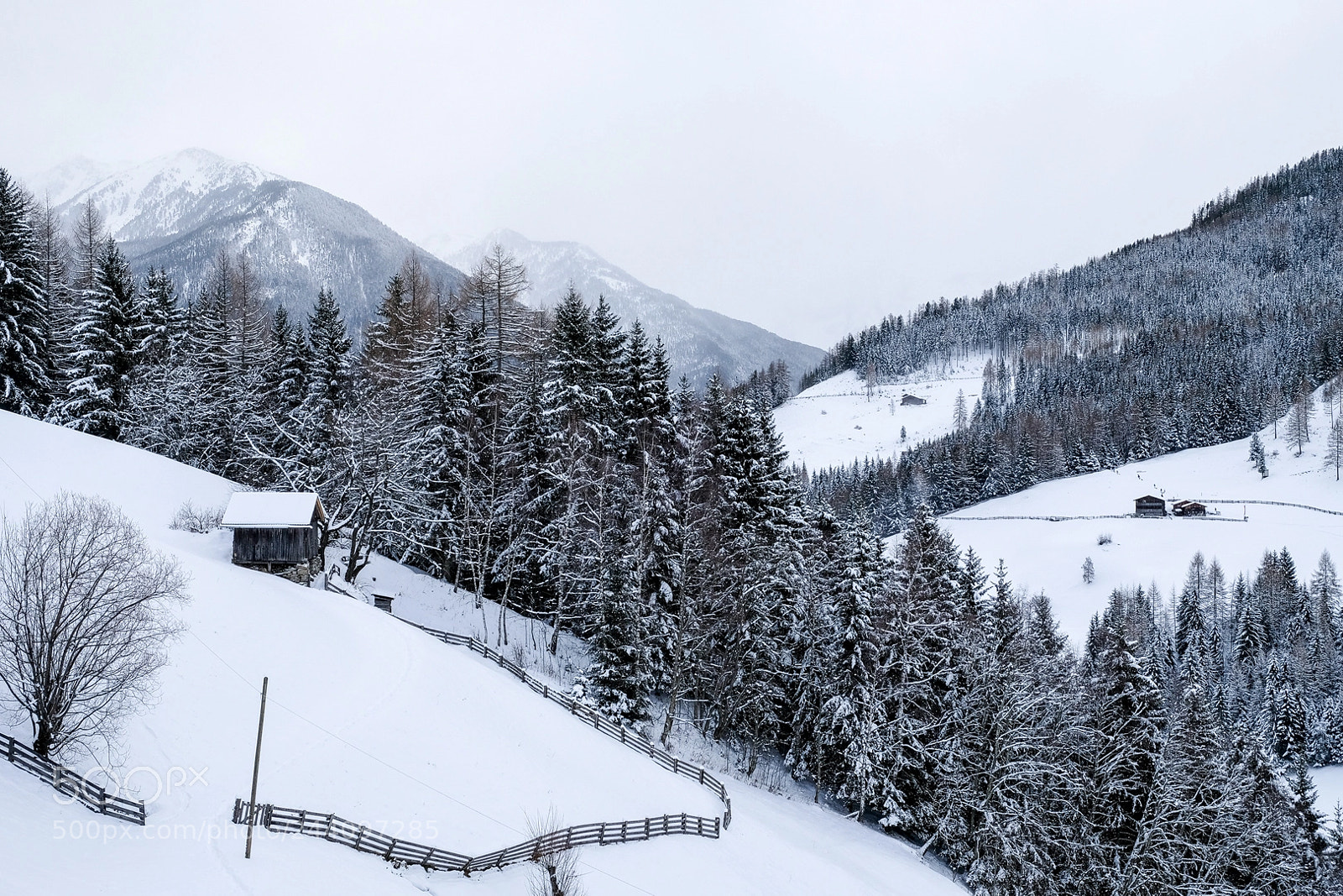 Fujifilm X-T20 sample photo. Bergwinter photography