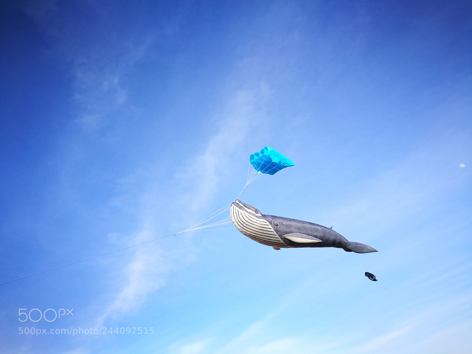 HUAWEI P9 sample photo. Whale in the sky photography