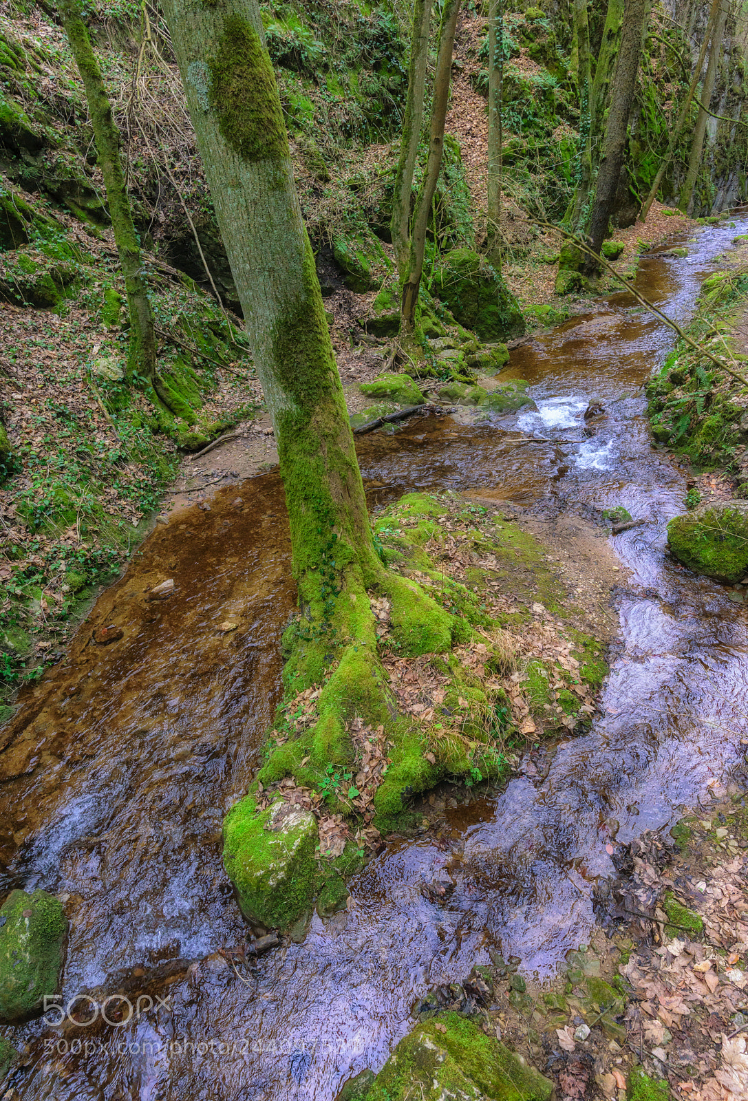 Nikon D810 sample photo. The isle photography