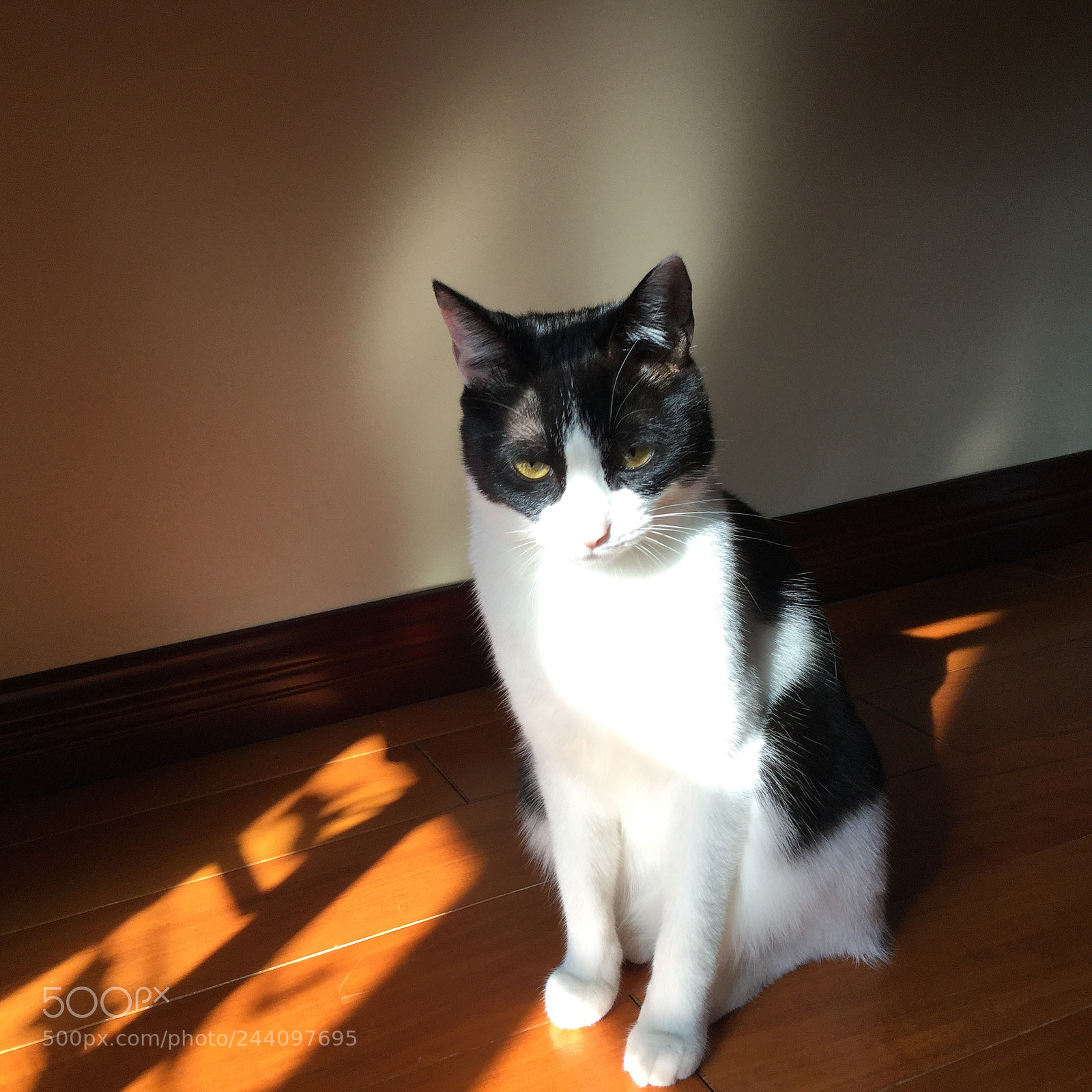 Apple iPad Air 2 sample photo. Untitled photography