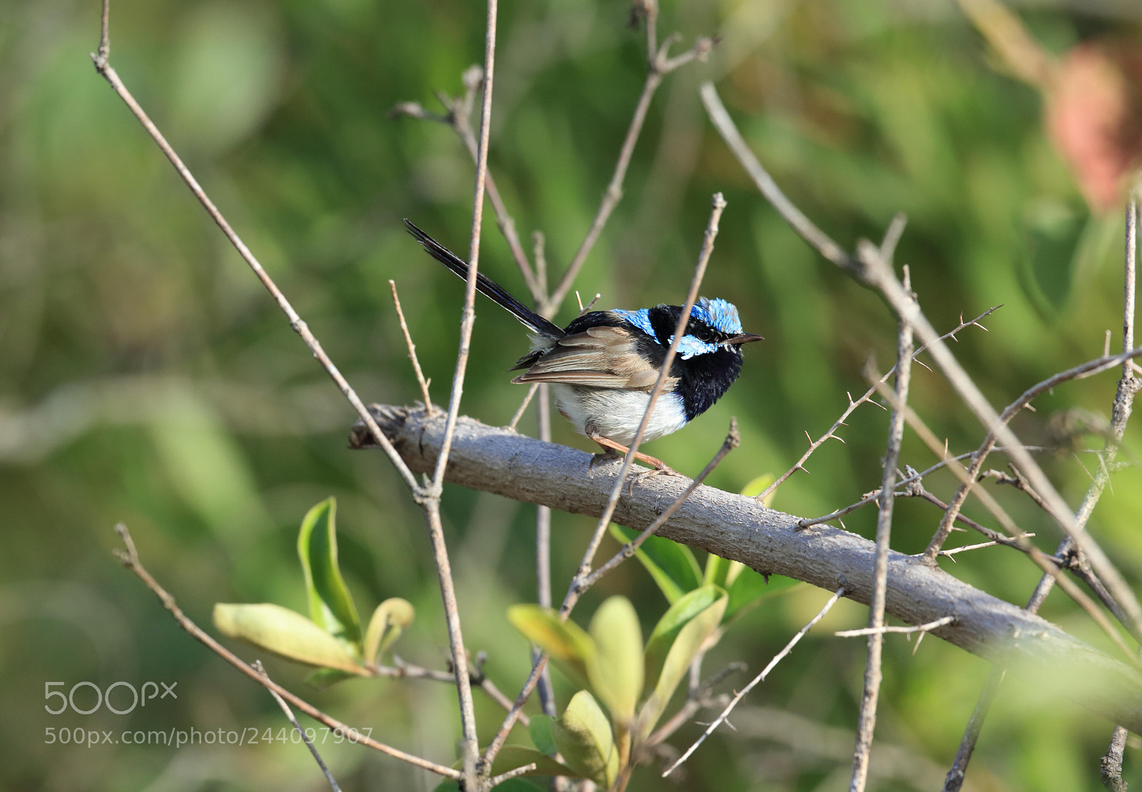 Canon EOS 5DS R sample photo. Ka photography