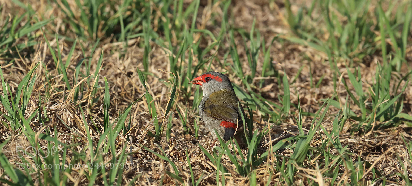 Canon EOS 5DS R sample photo. Ka photography