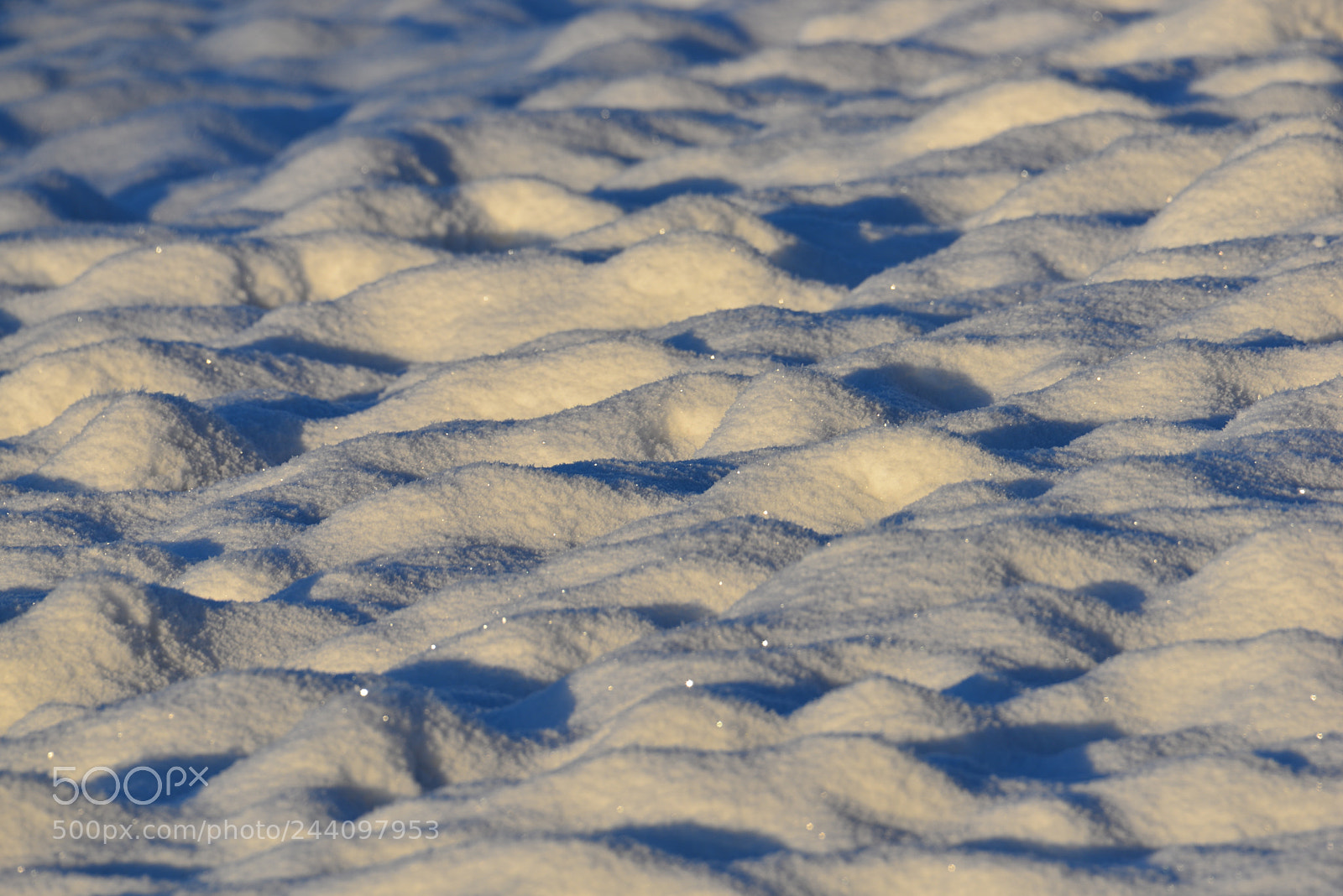 Nikon D610 sample photo. Just snow photography
