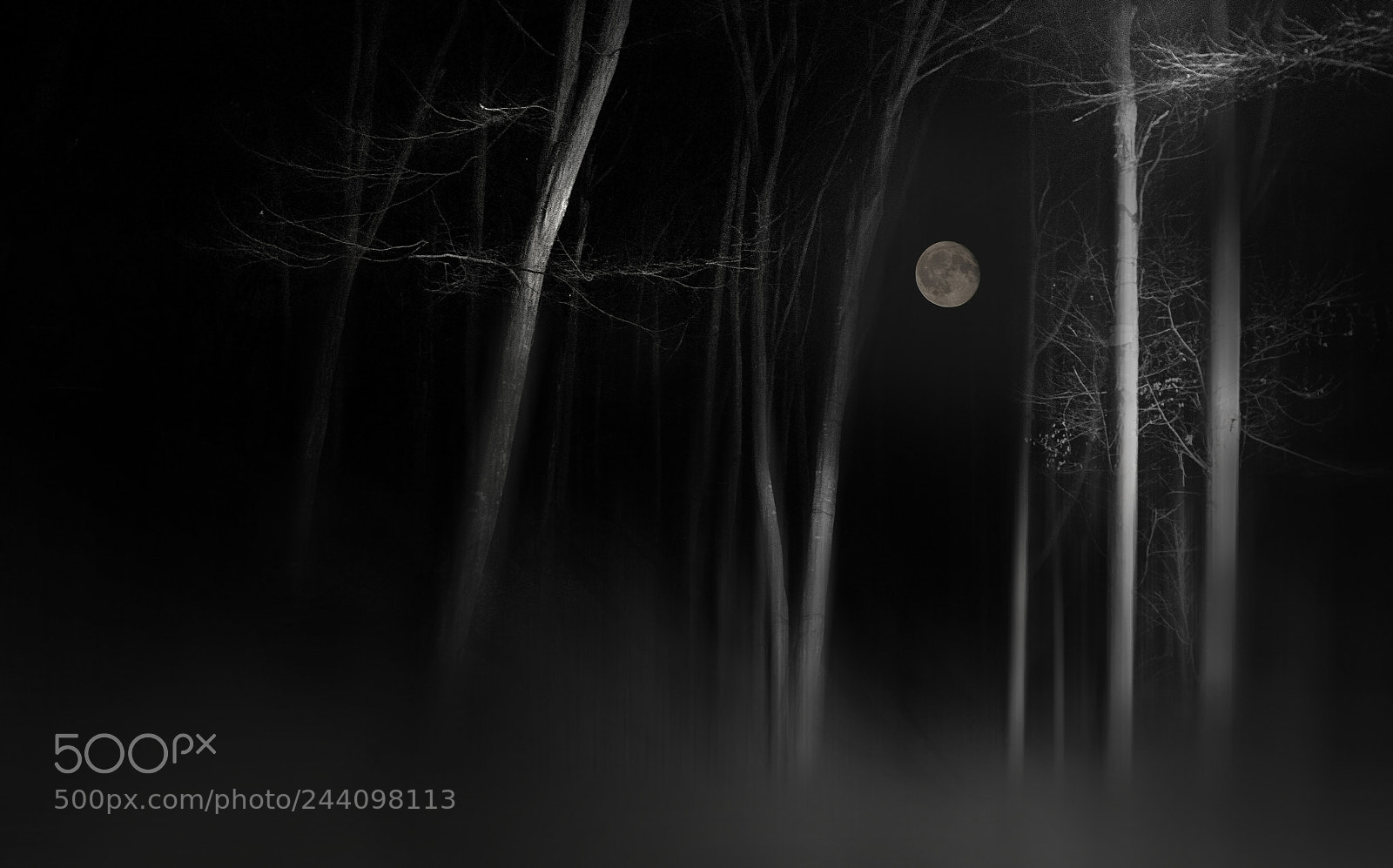 Nikon D7200 sample photo. Claire de lune photography