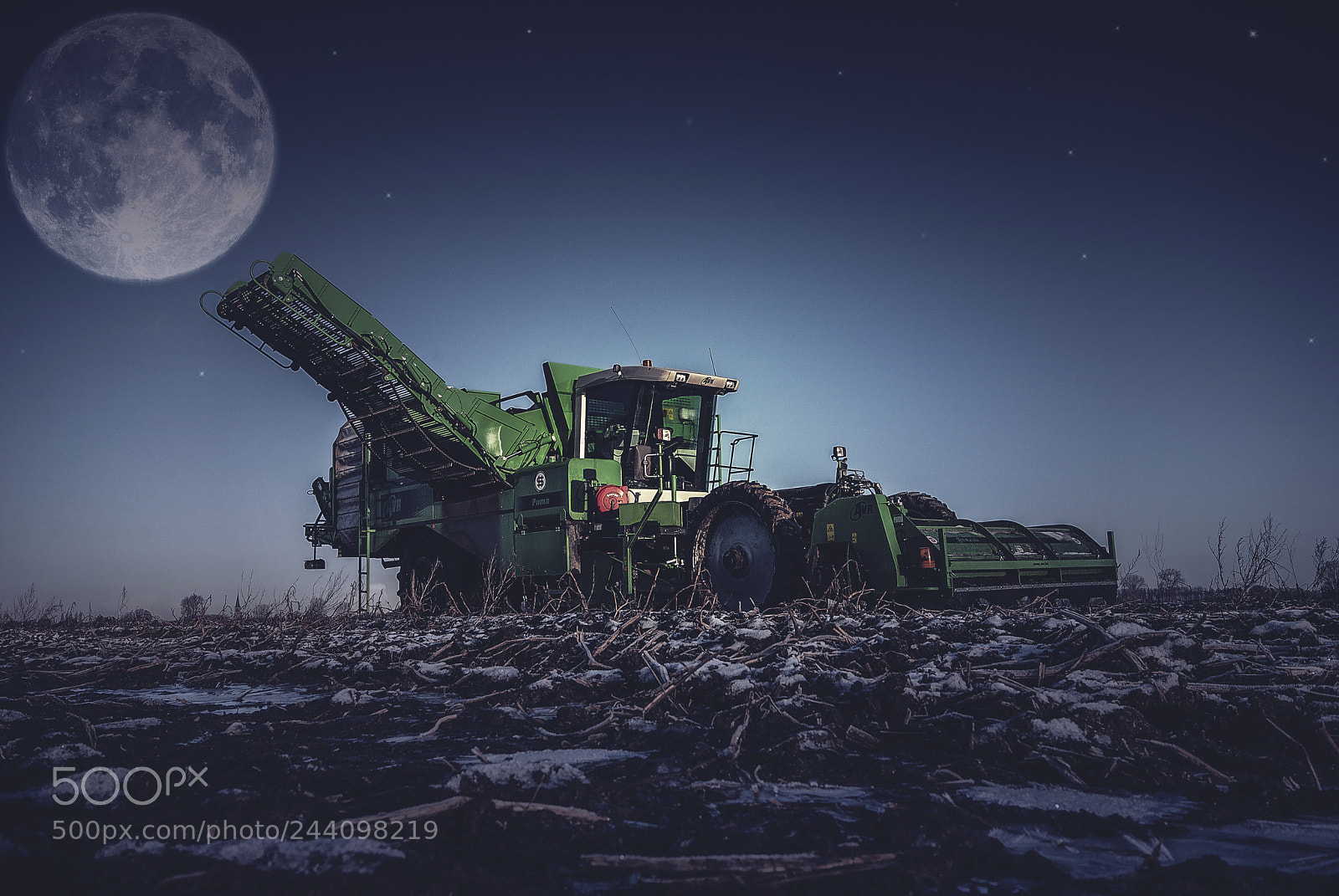 Nikon D80 sample photo. Harvest moon. photography