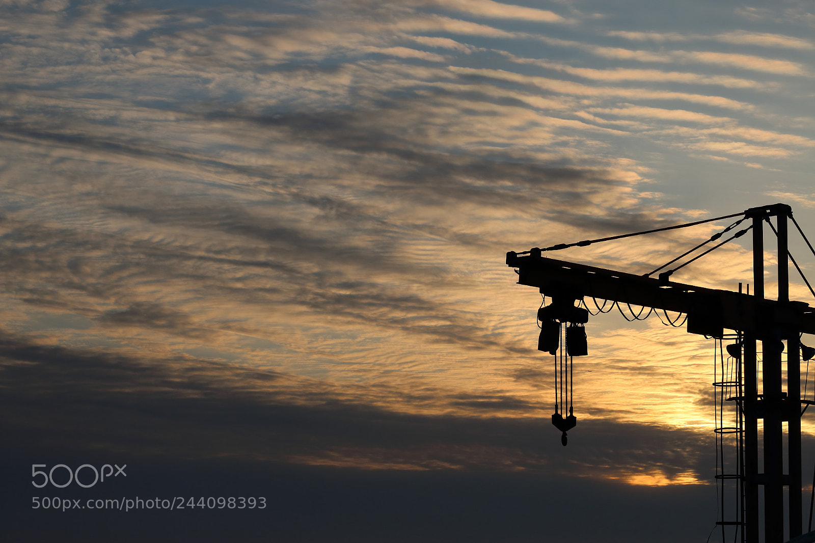 Canon EOS 70D + Canon EF 50mm F1.8 STM sample photo. Crane photography