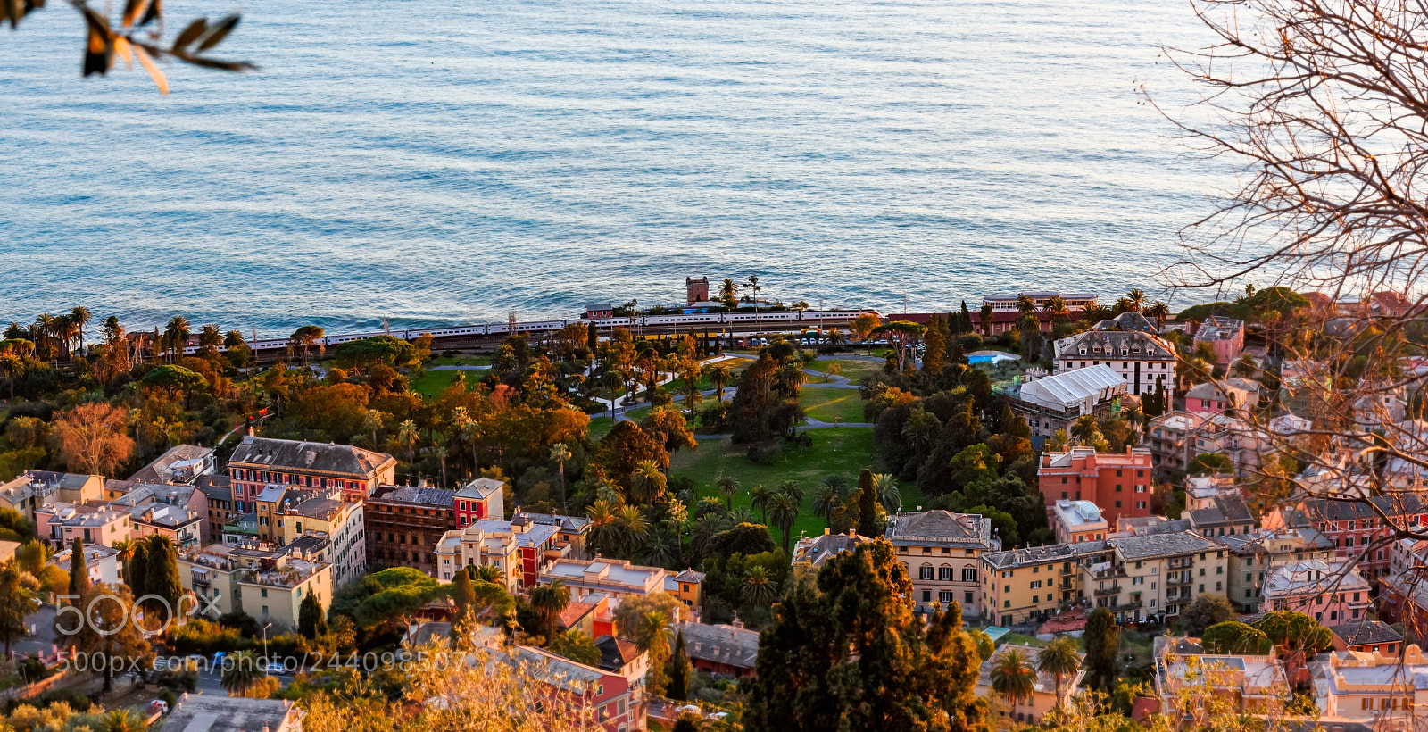 Nikon D810 sample photo. Giardini di nervi photography