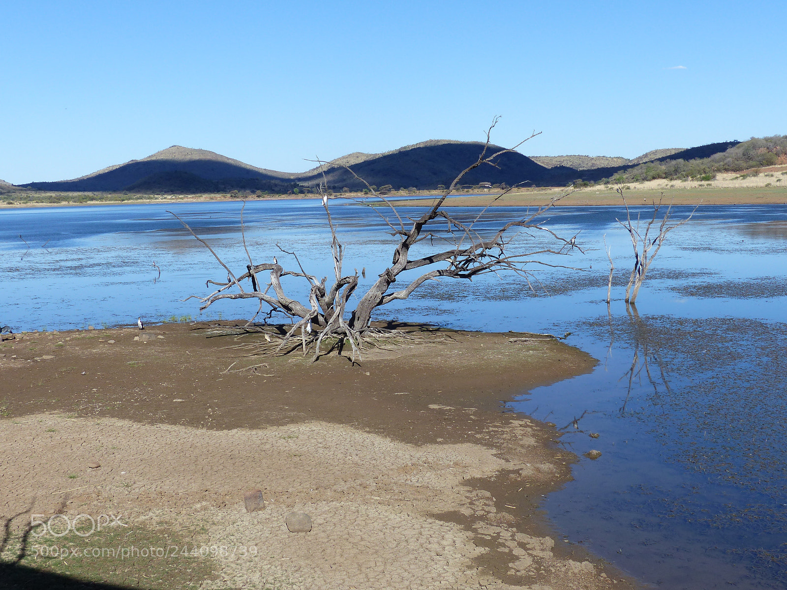 Panasonic Lumix DMC-FZ200 sample photo. Lake photography