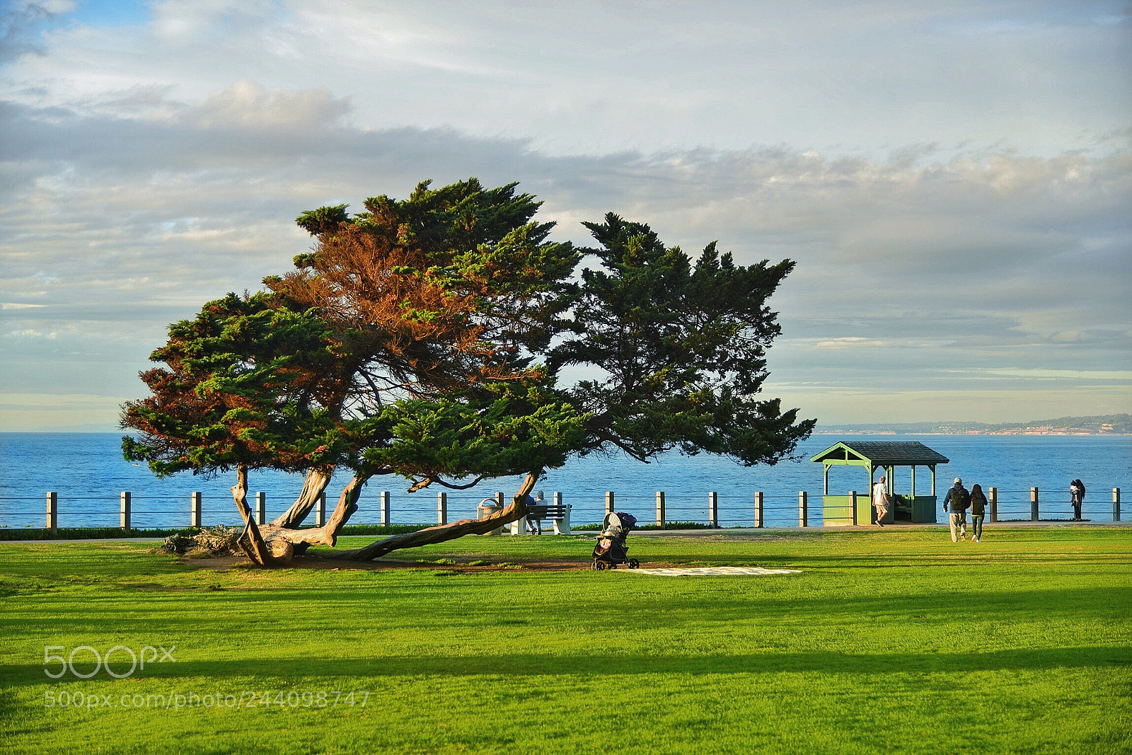 Nikon D800E sample photo. Untitled photography