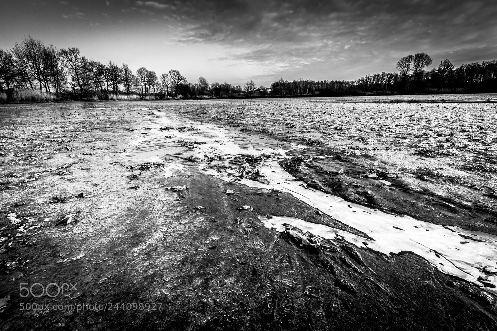Nikon D7200 sample photo. B&w photography