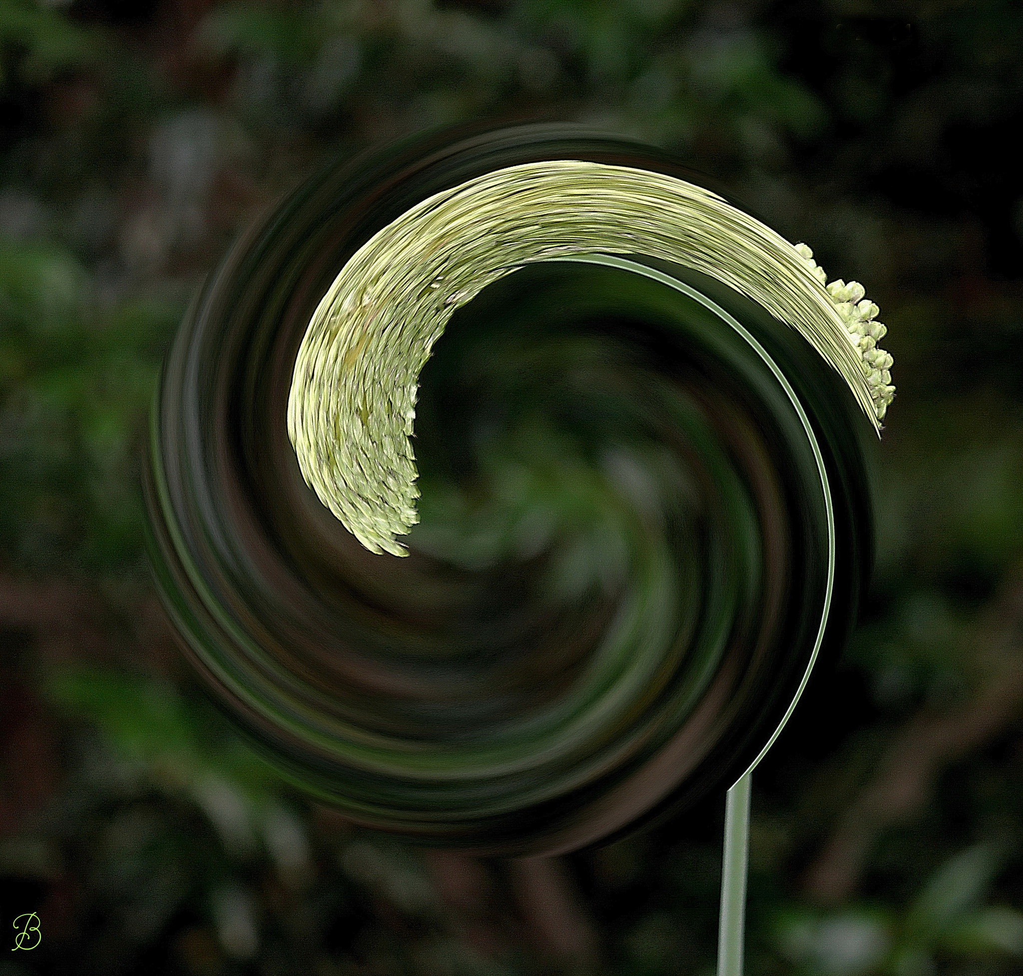 Canon EF-S 55-250mm F4-5.6 IS sample photo. "the question" photography