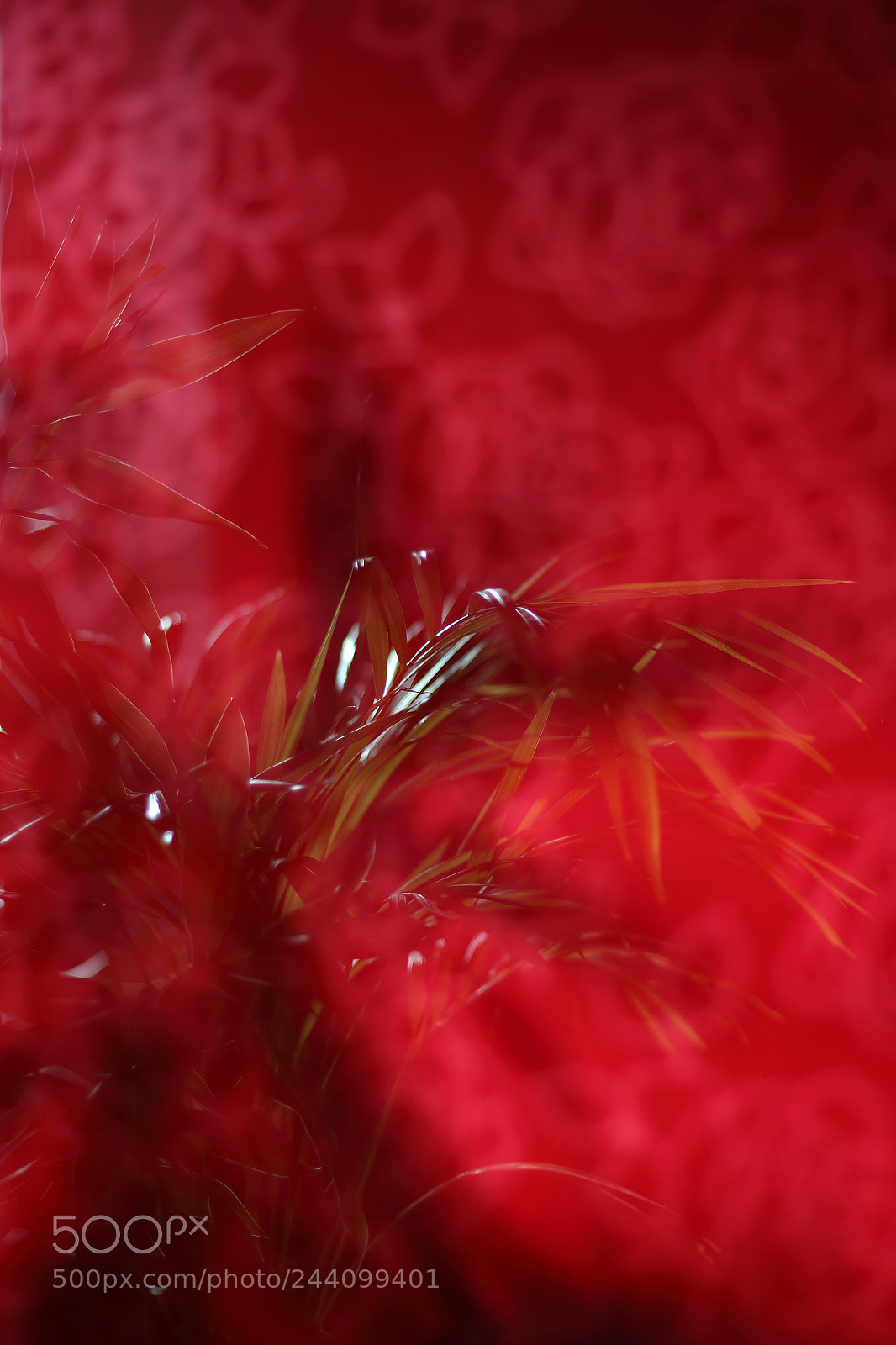 Canon EOS 70D + Canon EF 50mm F1.8 STM sample photo. Reflection photography