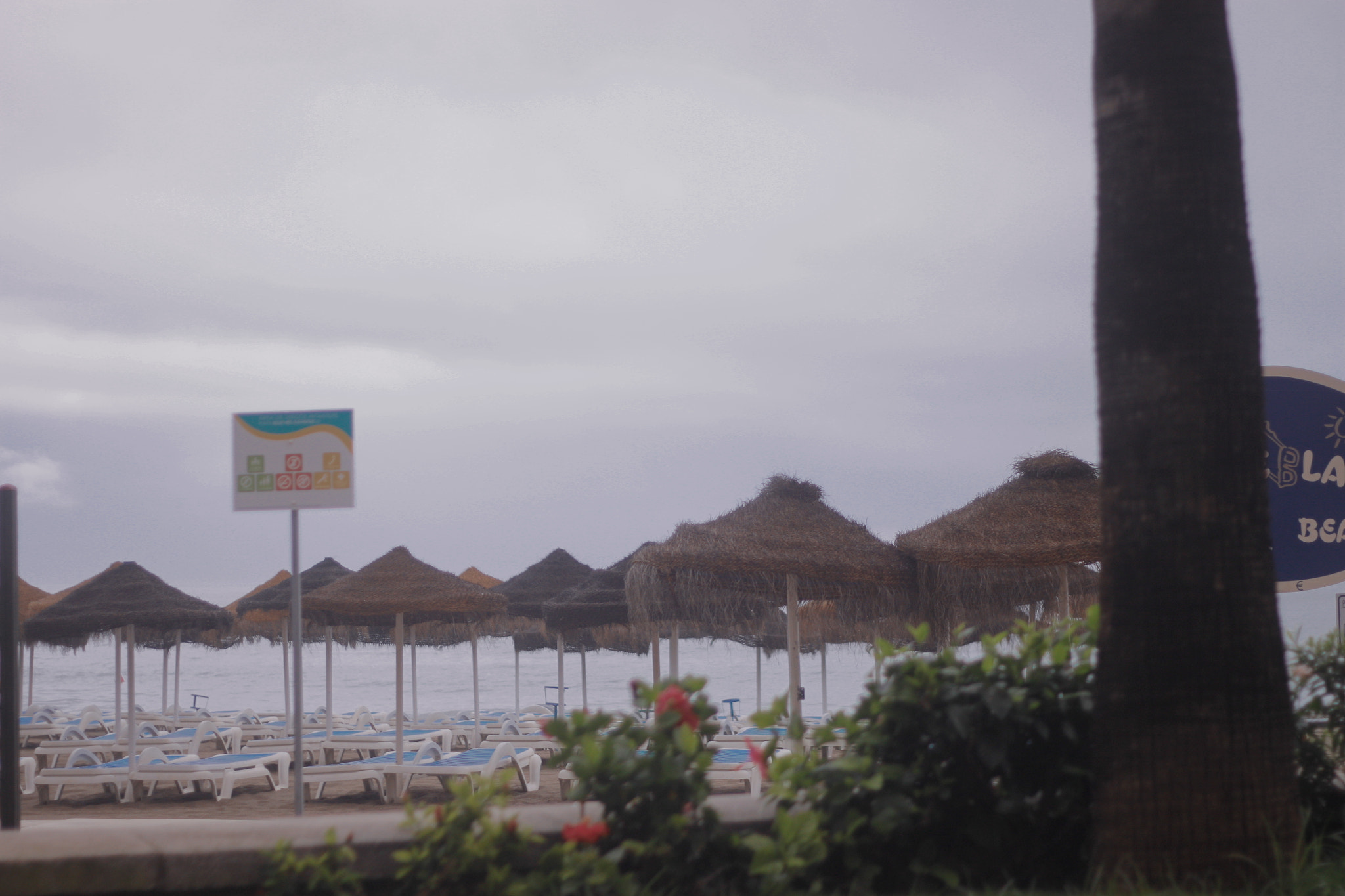Canon EOS 500D (EOS Rebel T1i / EOS Kiss X3) + Canon EF 50mm f/1.8 sample photo. Spain 2015 photography