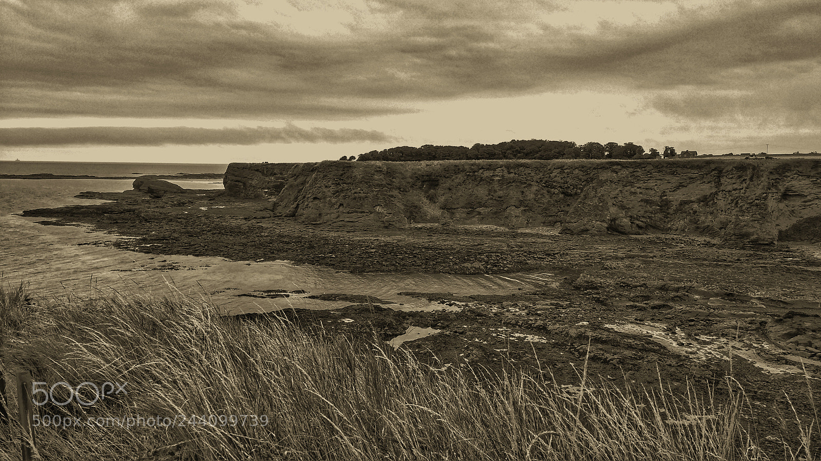 LG G3 sample photo. East lothian photography