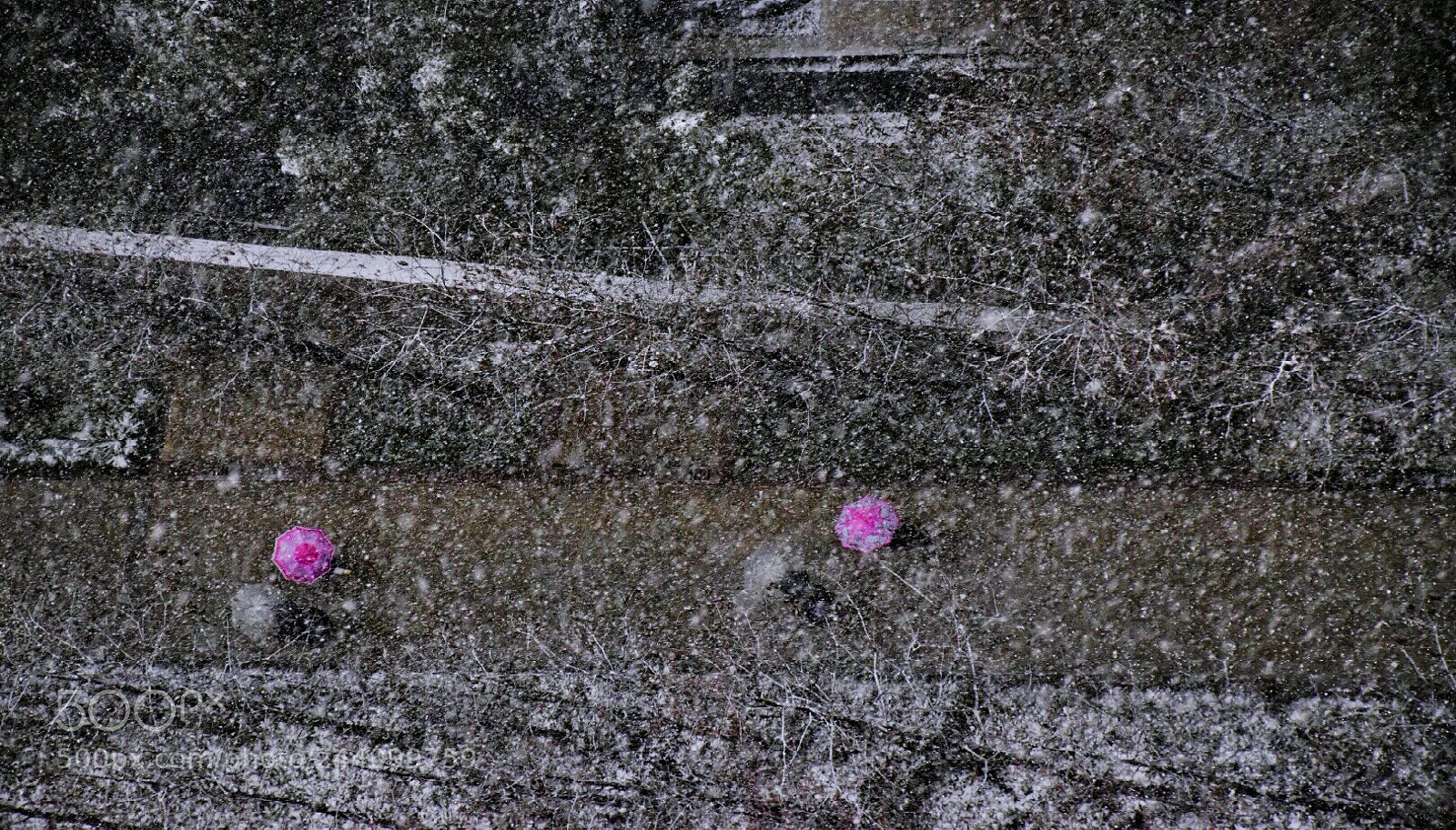 Nikon D5500 sample photo. Snowing2 photography