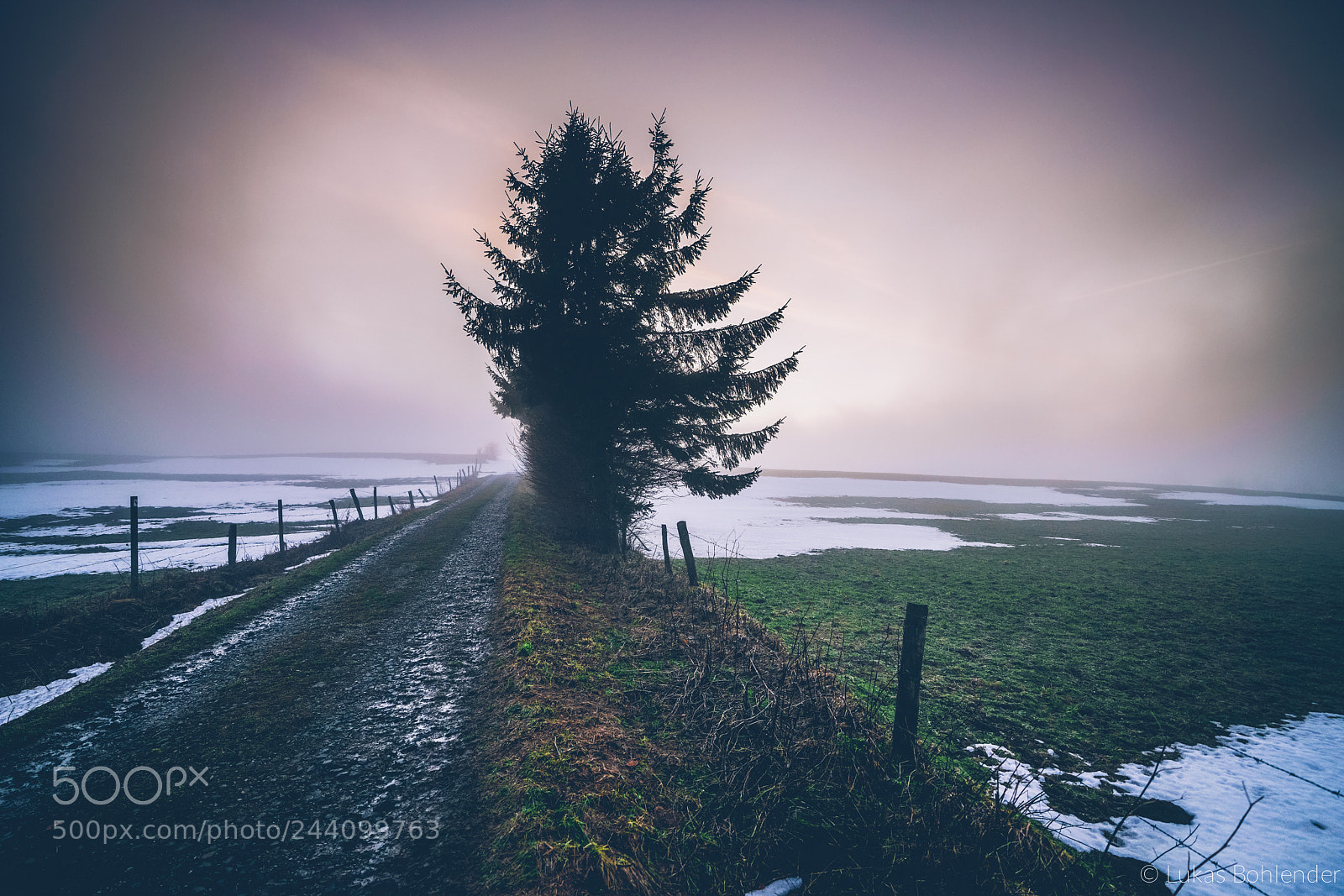Sony a7R II sample photo. Tree, rhön photography