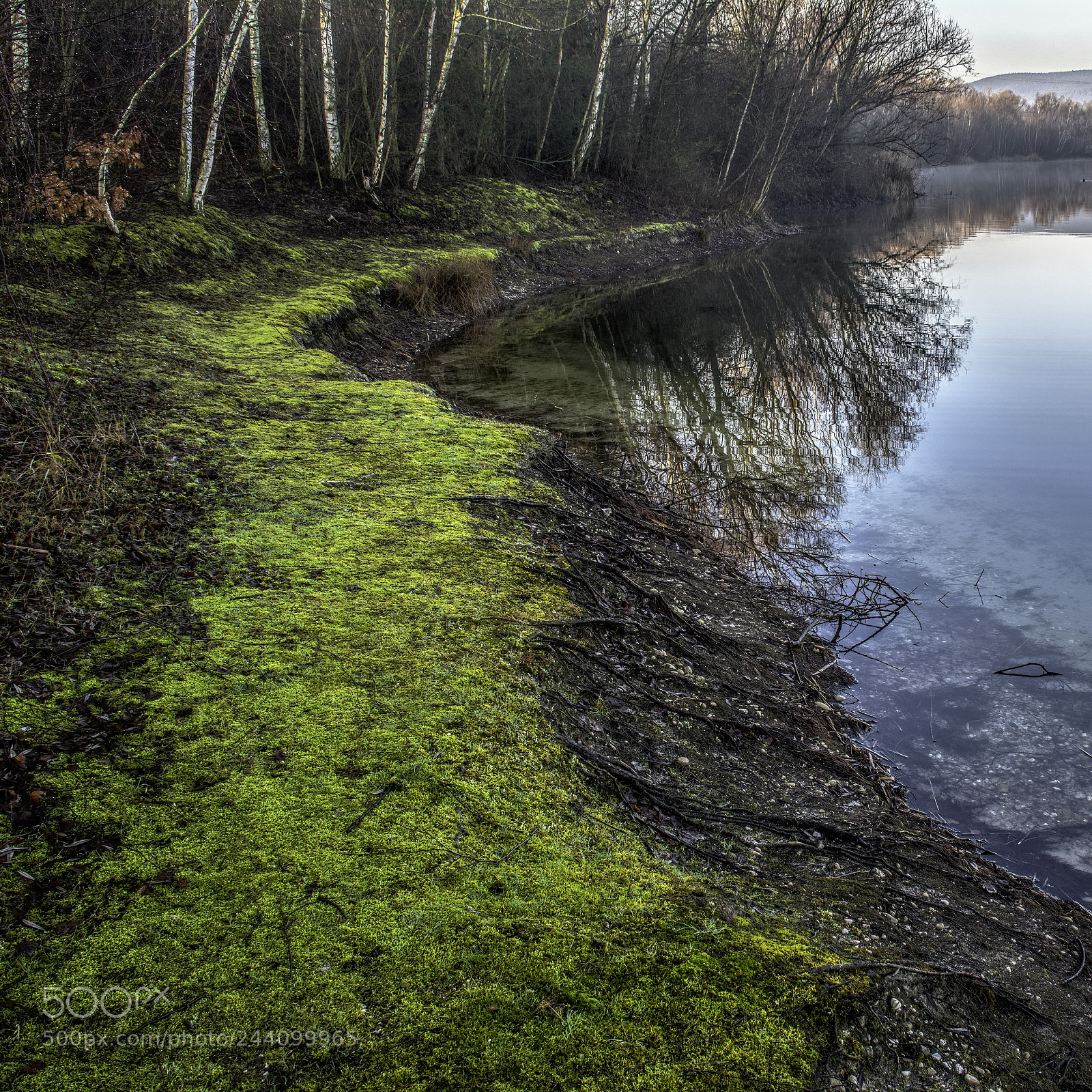 Nikon D7100 sample photo. Pond17 photography