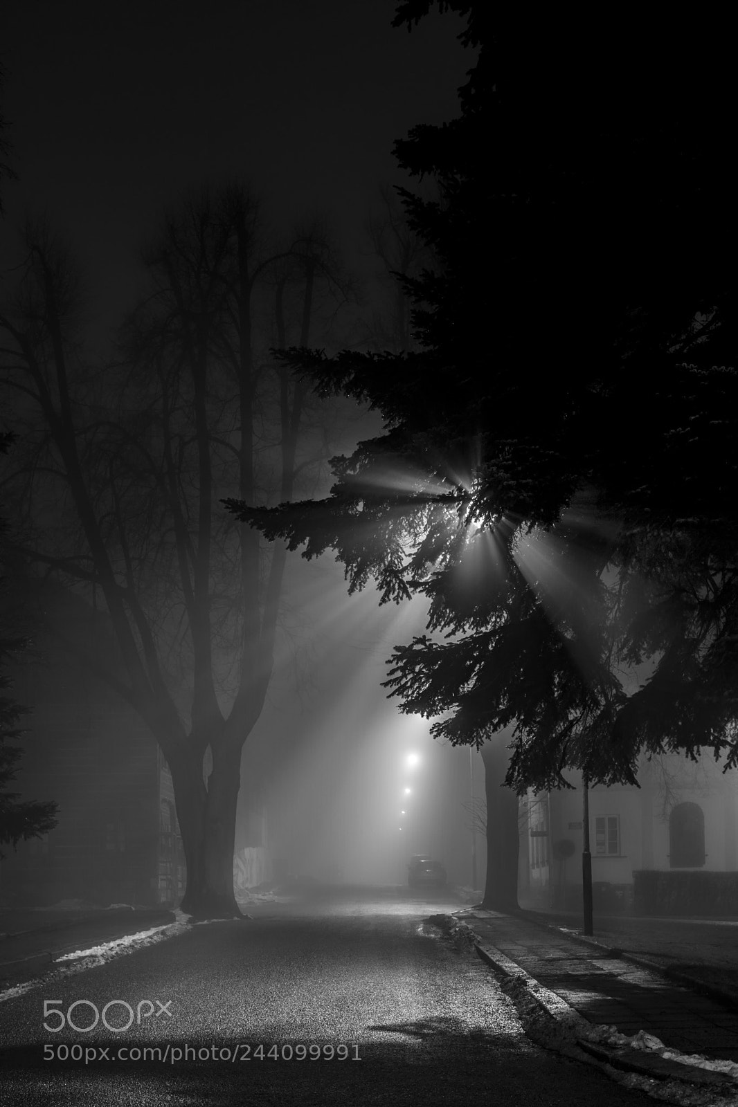 Sony ILCA-77M2 sample photo. In the dark. photography