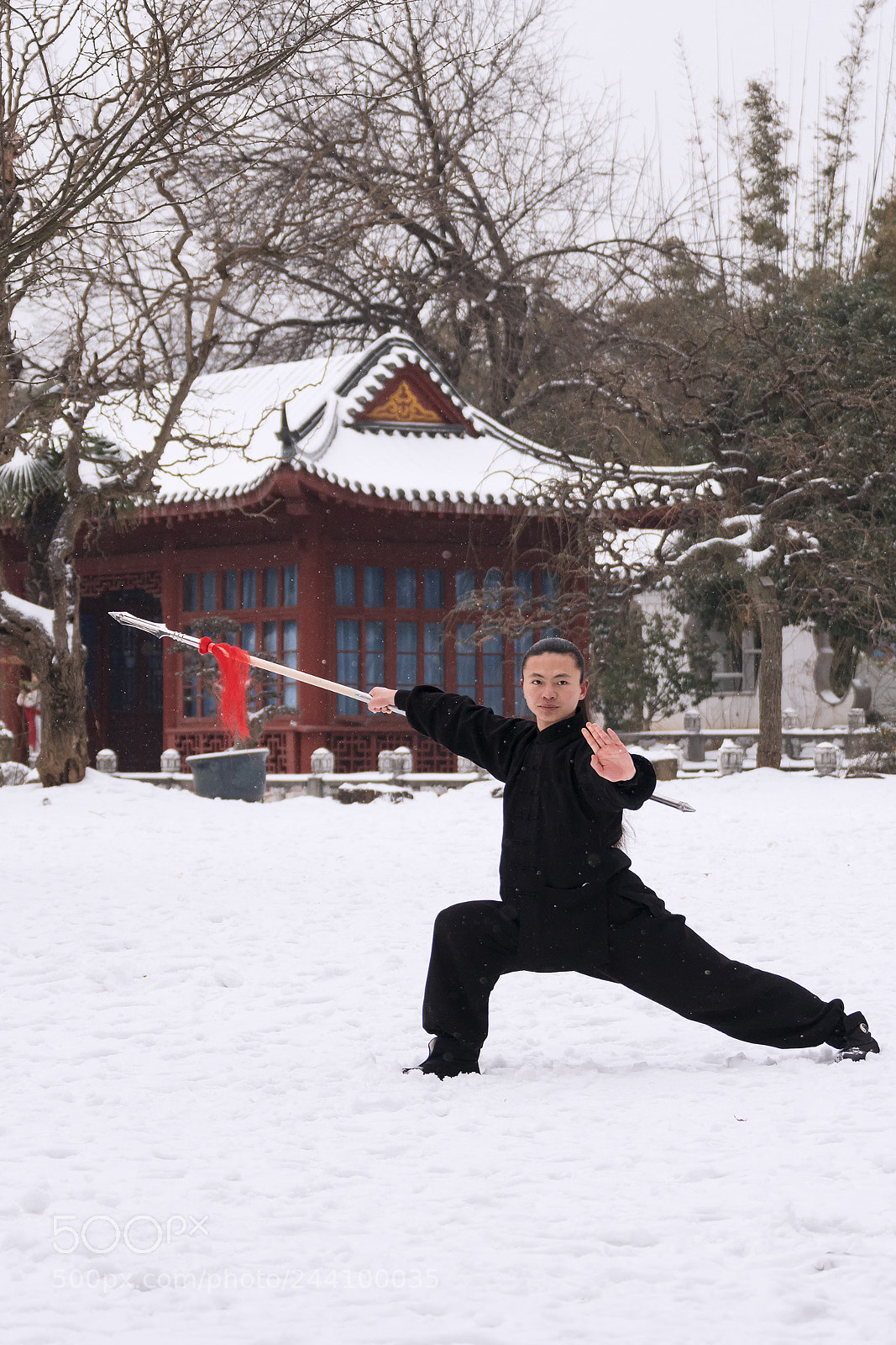 Sony a6300 sample photo. Kung fu 02 photography