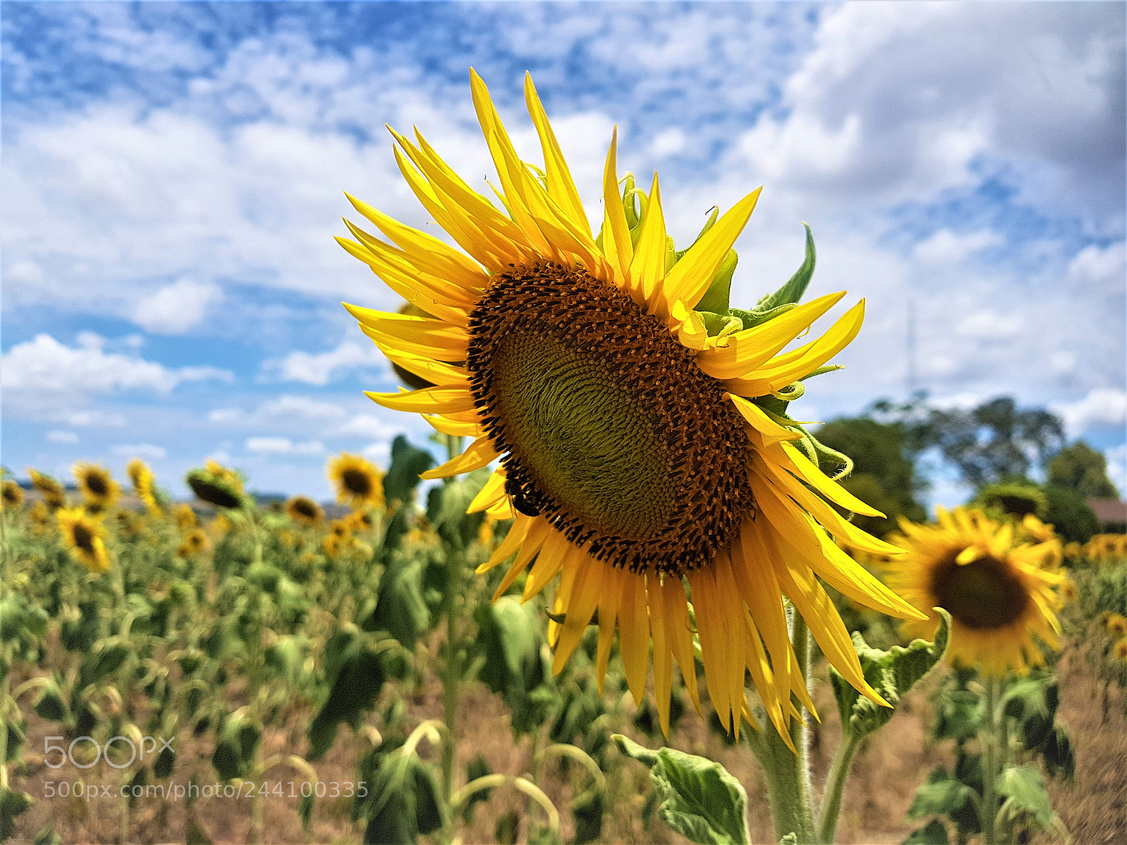 Samsung Galaxy S8+ sample photo. Untitled photography