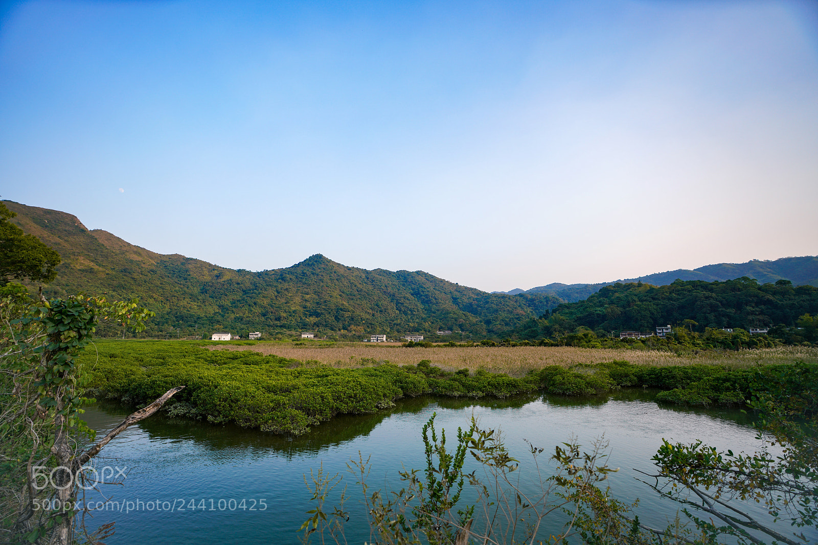 Sony a7R III sample photo. Untitled photography