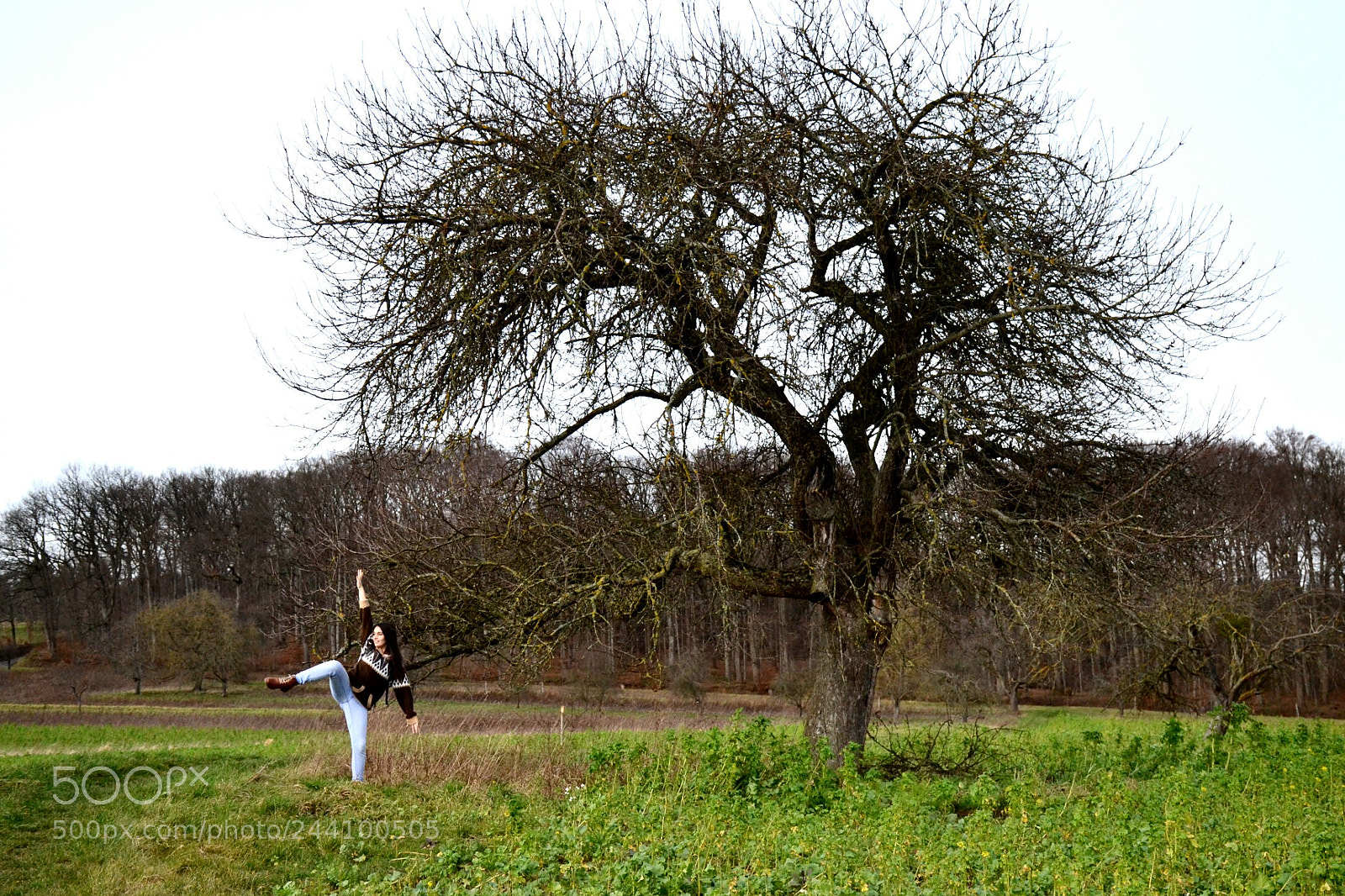 Nikon D3100 sample photo. Untitled photography