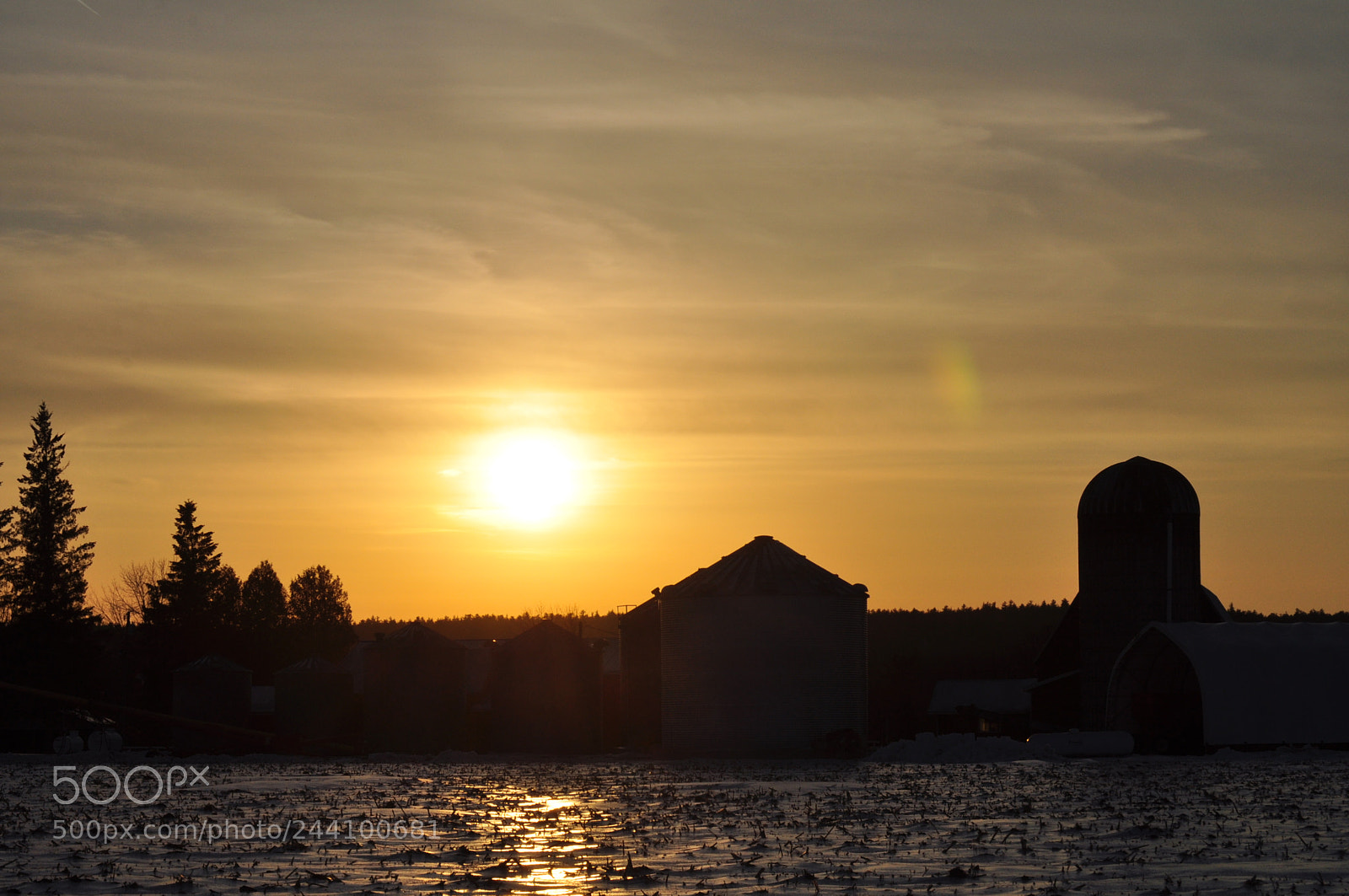 Nikon D5000 sample photo. Frozen silouette photography