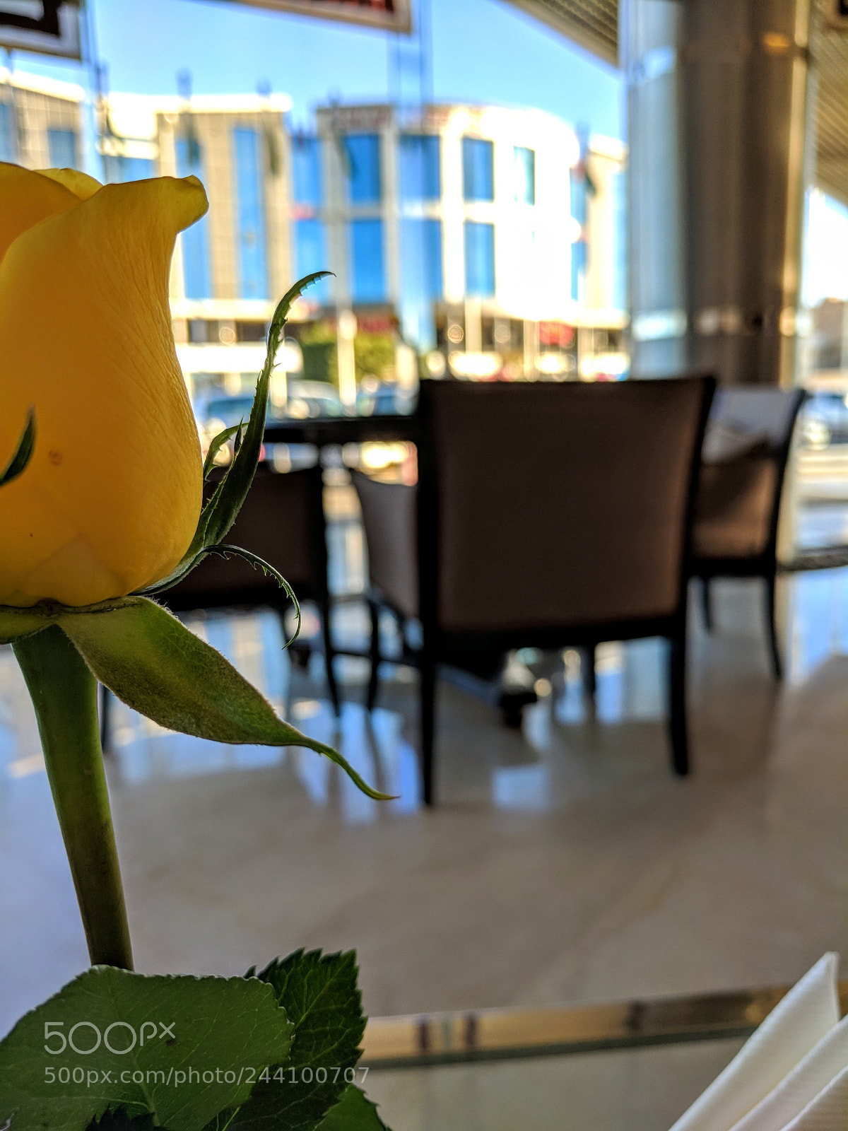 Google Pixel sample photo. Untitled photography