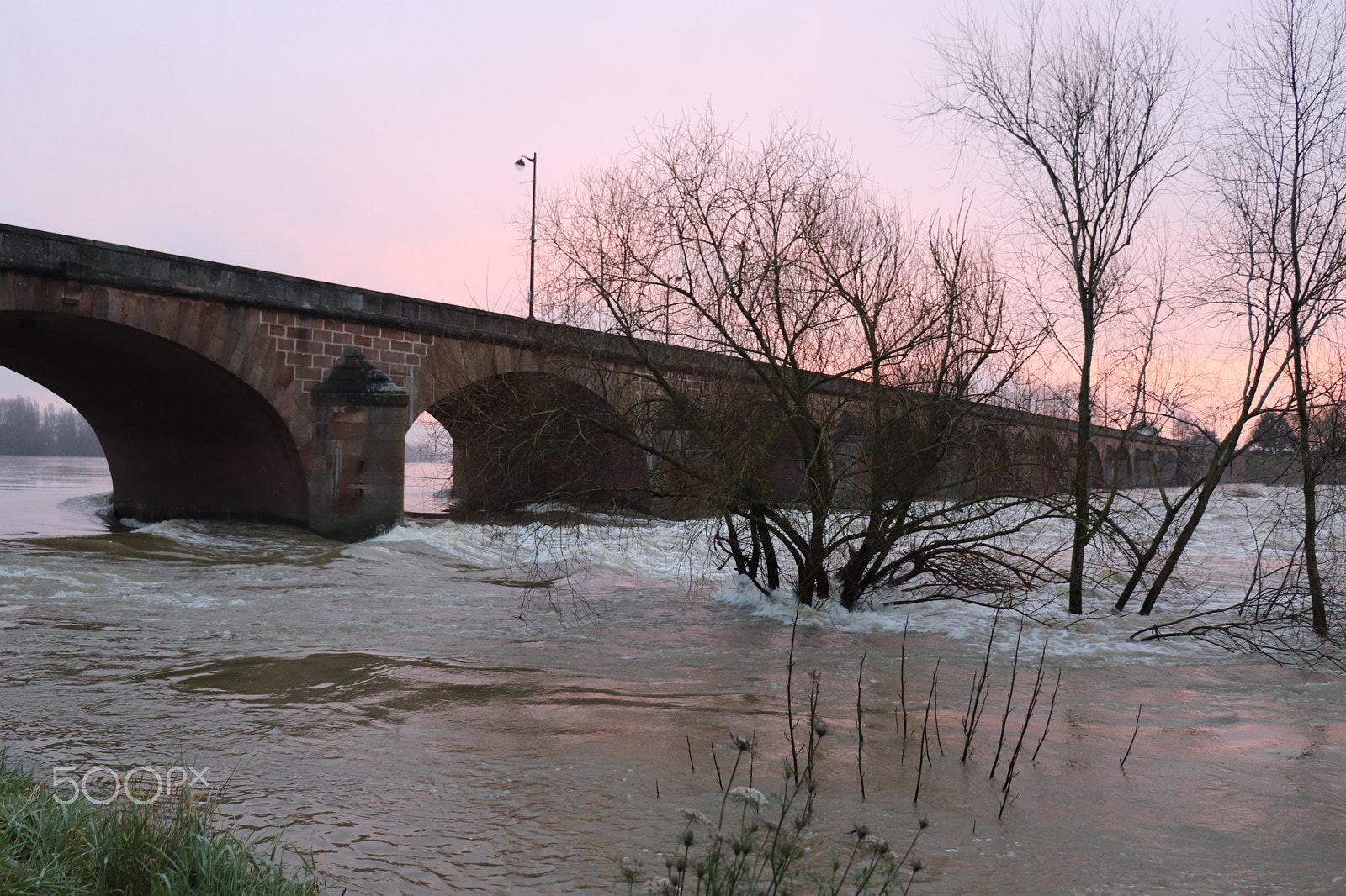 Canon EOS 77D (EOS 9000D / EOS 770D) sample photo. Trees in flood photography