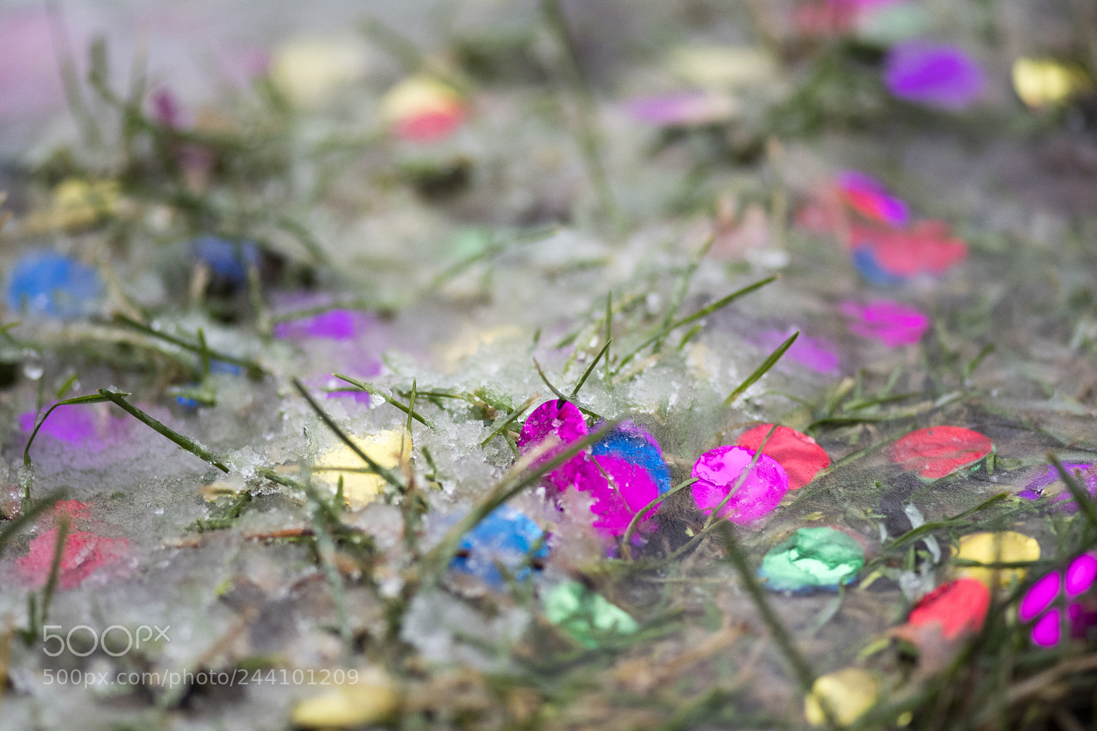 Nikon D500 sample photo. The holiday is over photography