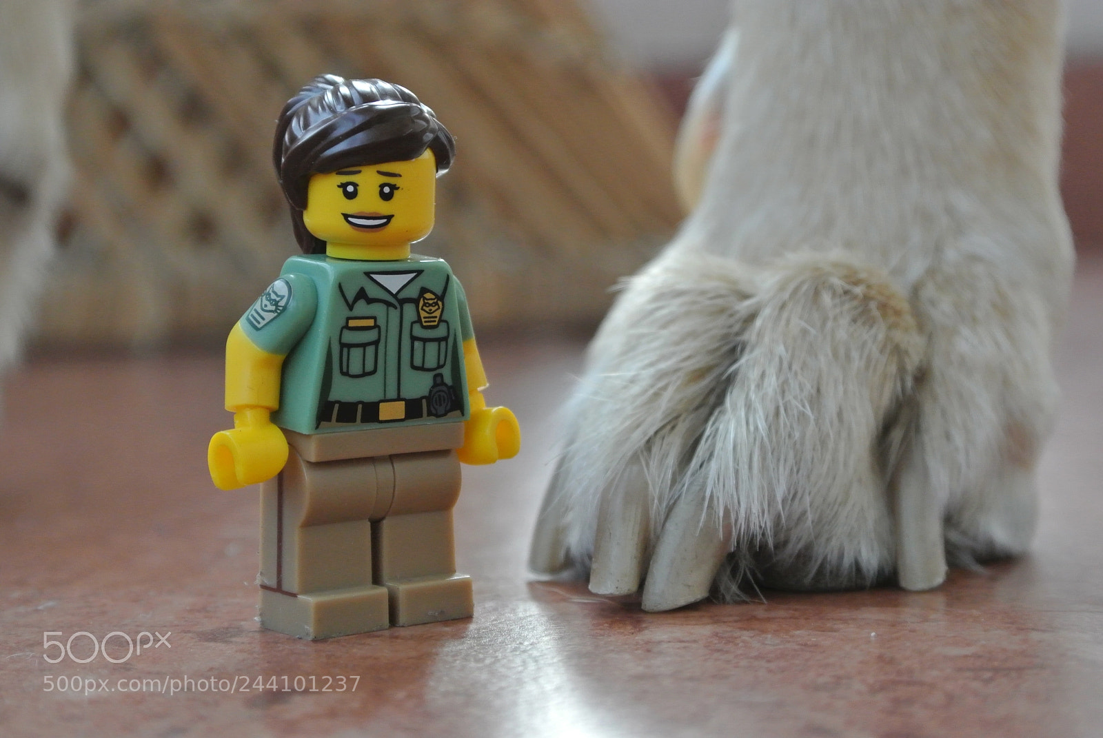 Nikon 1 J1 sample photo. Lego animal control officer photography