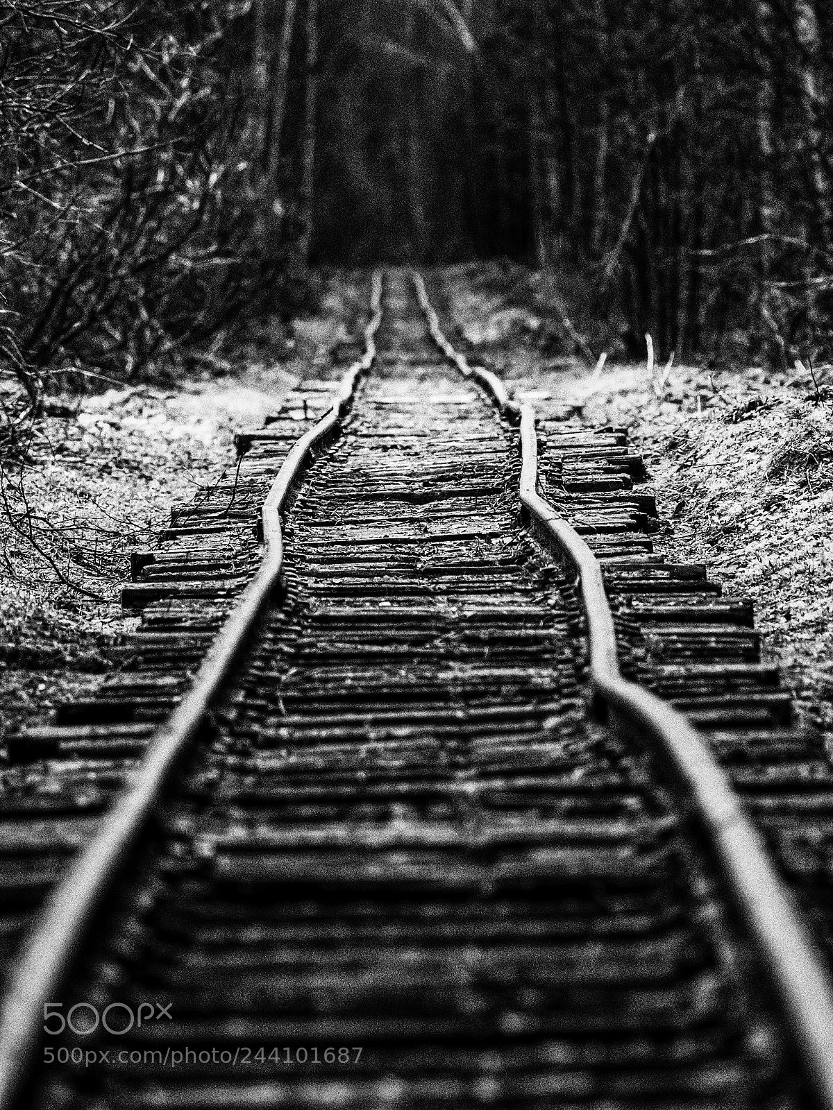 Canon EOS 5D sample photo. Railway, photography