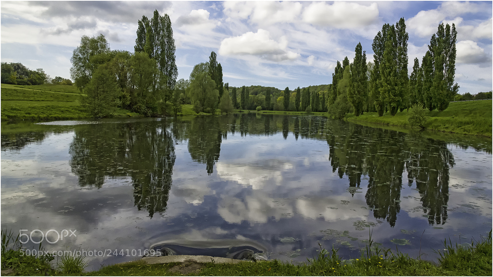 Nikon D610 sample photo. Miroir naturel. photography
