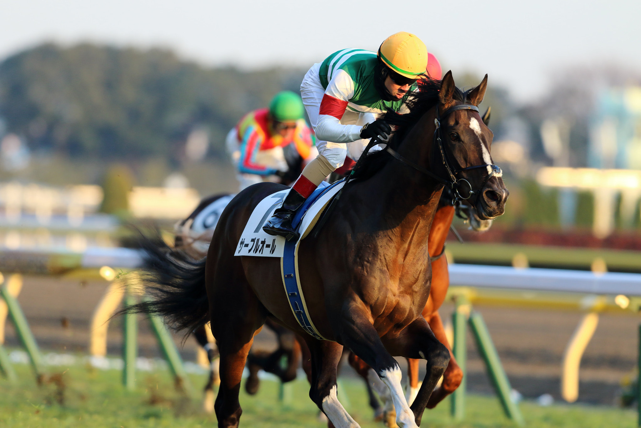 Canon EF 300mm F2.8L IS II USM sample photo. Victory photography